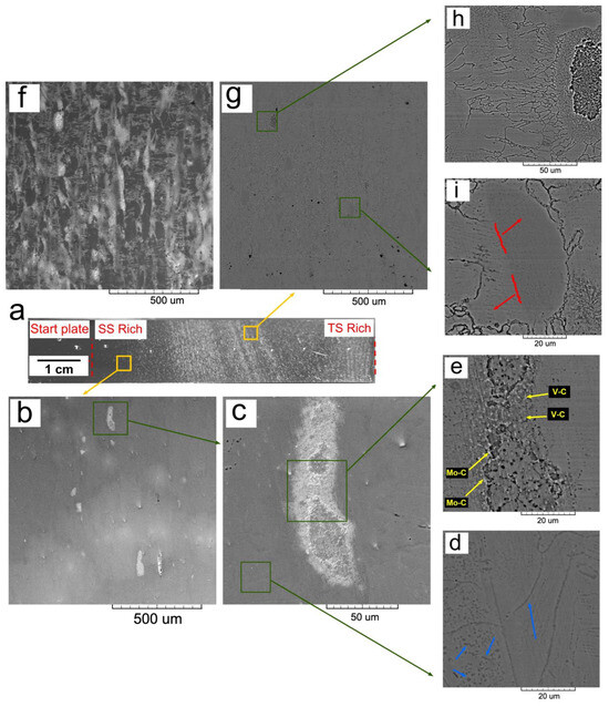Small- to Large-Scale Electron Beam Powder Bed Fusion of Functionally ...