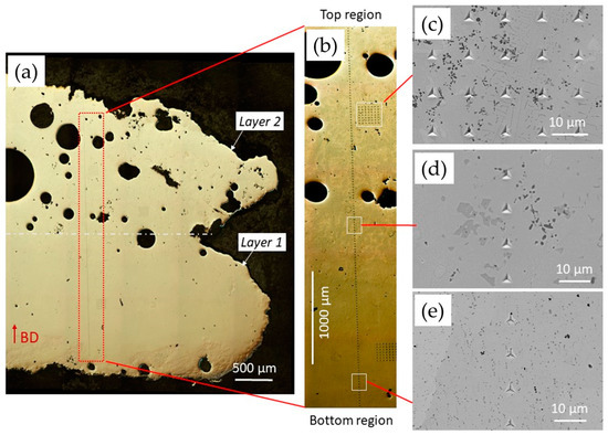 Microstructure, Thermal, and Mechanical Behavior of NiTi