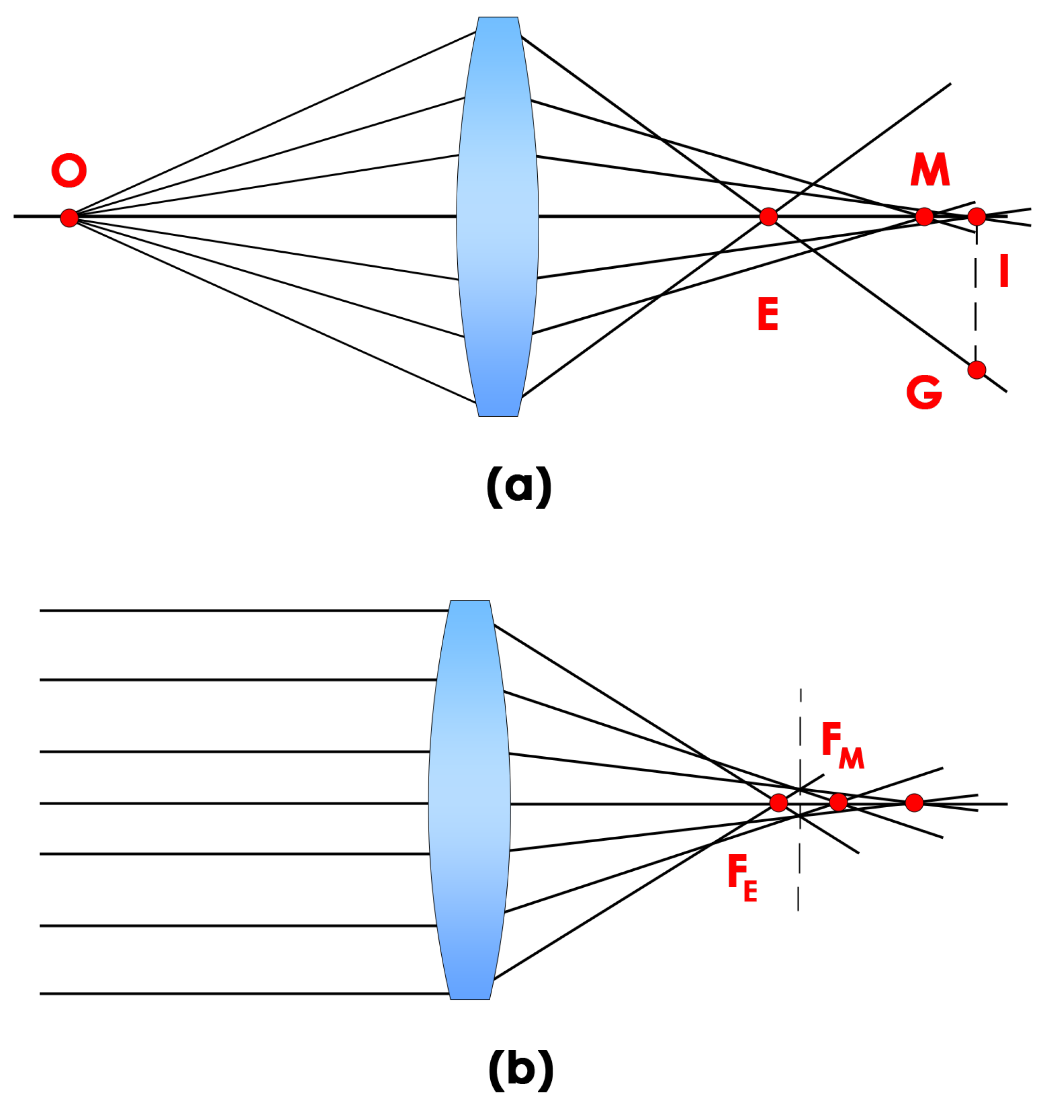 Jmmp 09 00105 g0a10 Jmmp 09 00105 g0a10