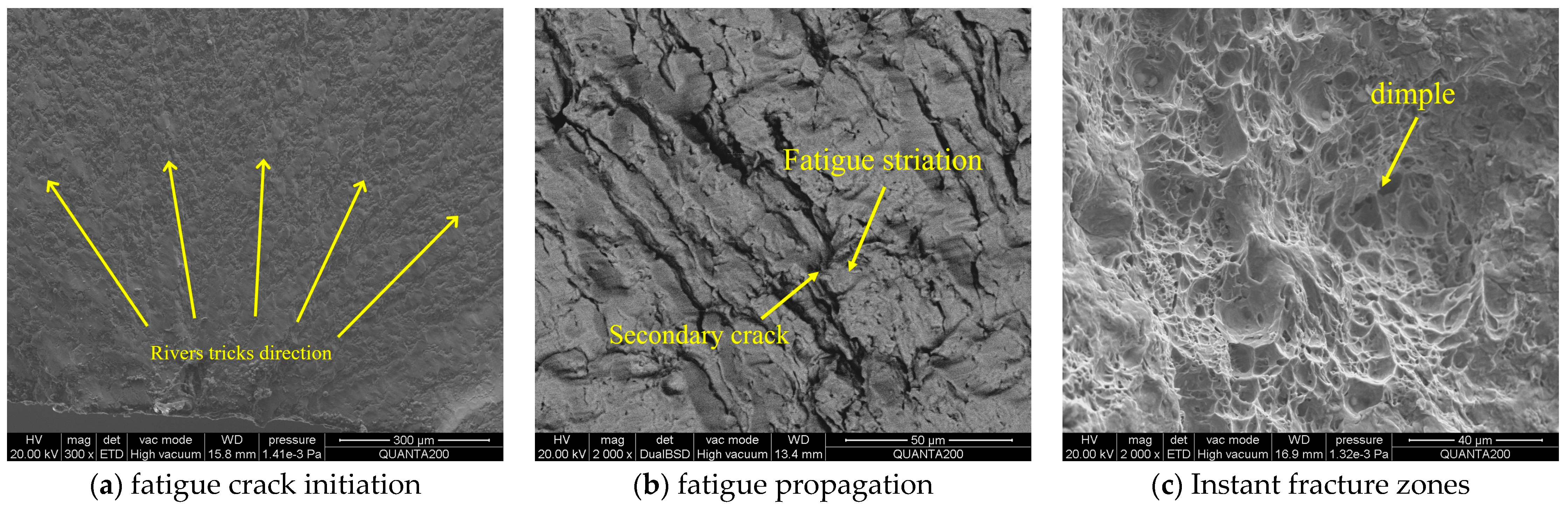 Jmmp 09 00273 g015 Jmmp 09 00273 g015