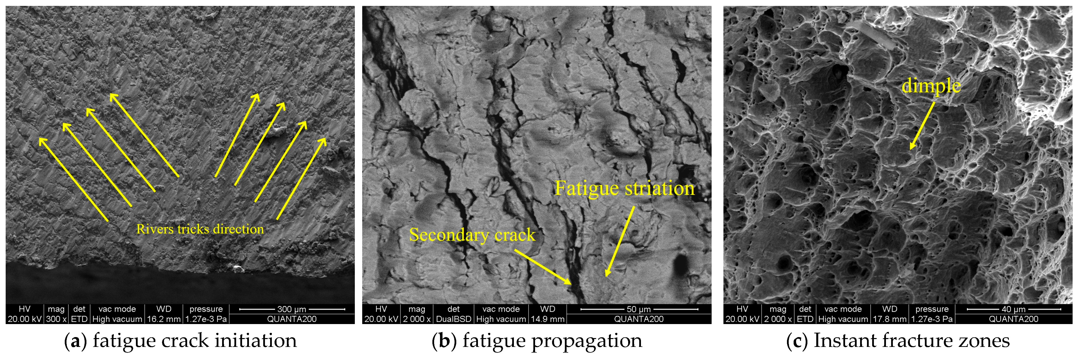 Jmmp 09 00273 g017 Jmmp 09 00273 g017