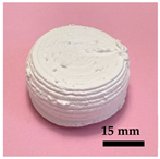 Jmmp 09 00278 i001 Jmmp 09 00278 i001