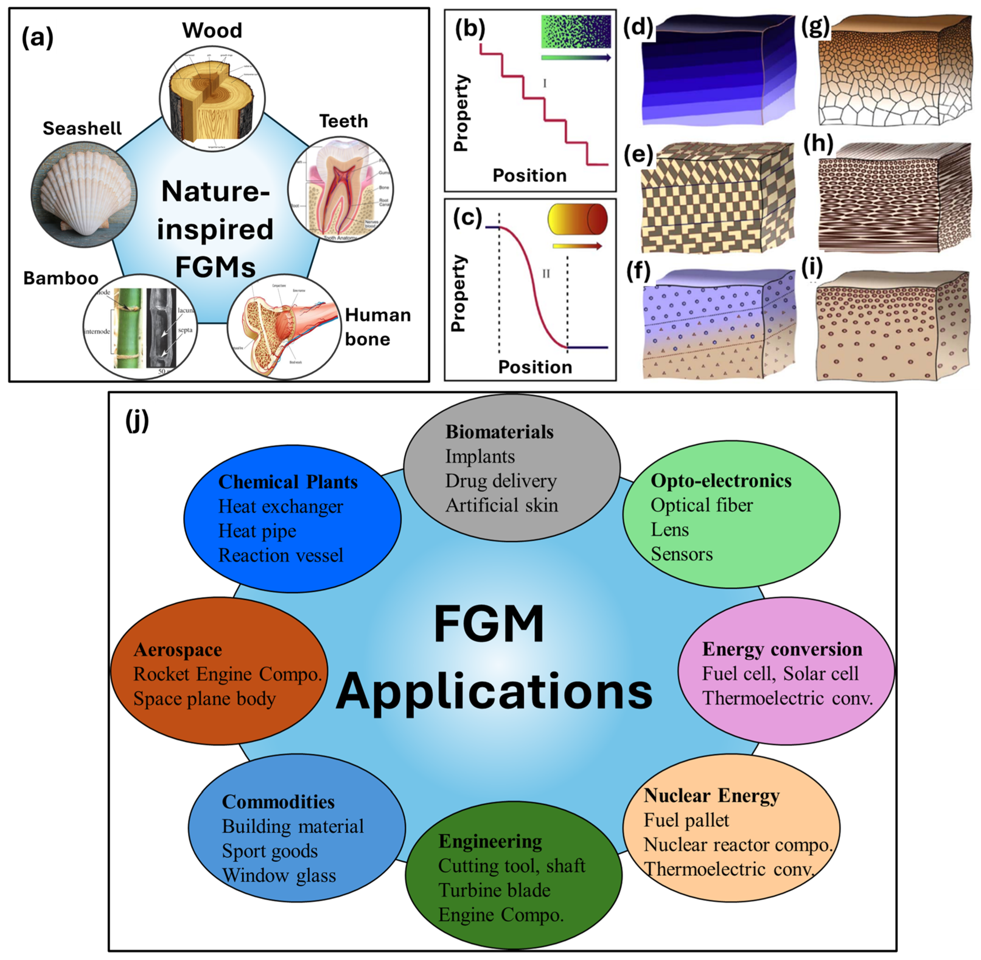Jmmp 09 00284 g003 Jmmp 09 00284 g003