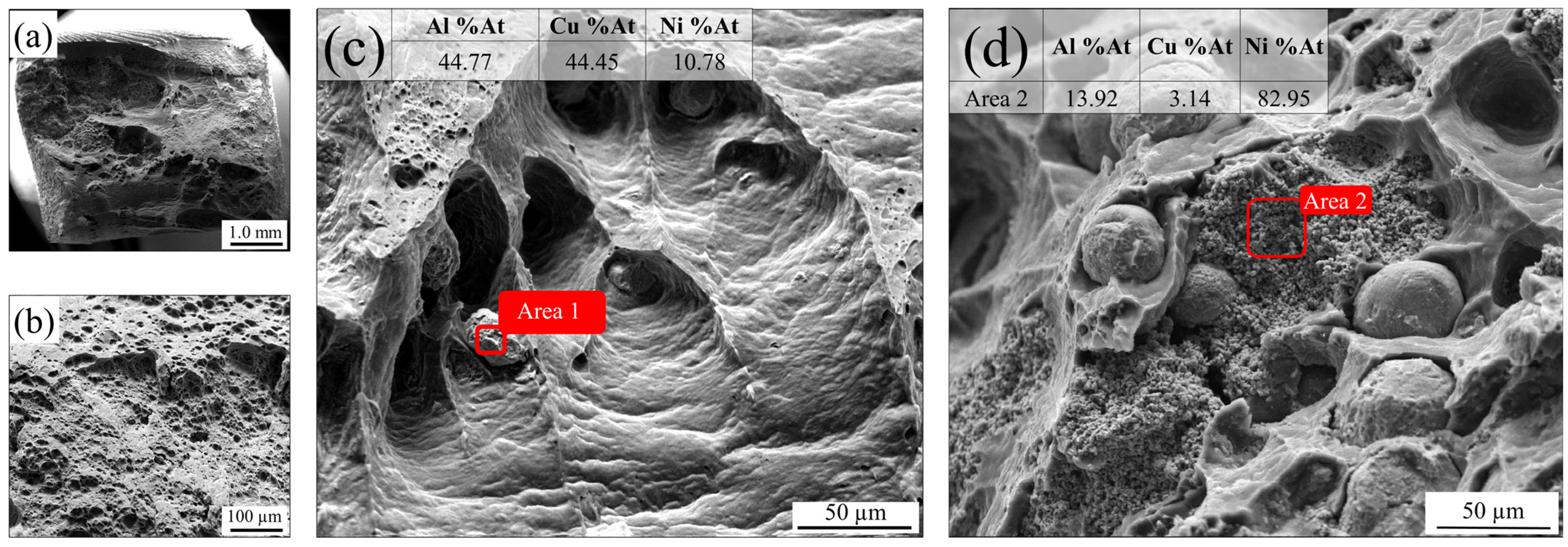 Jmmp 09 00364 g019 Jmmp 09 00364 g019