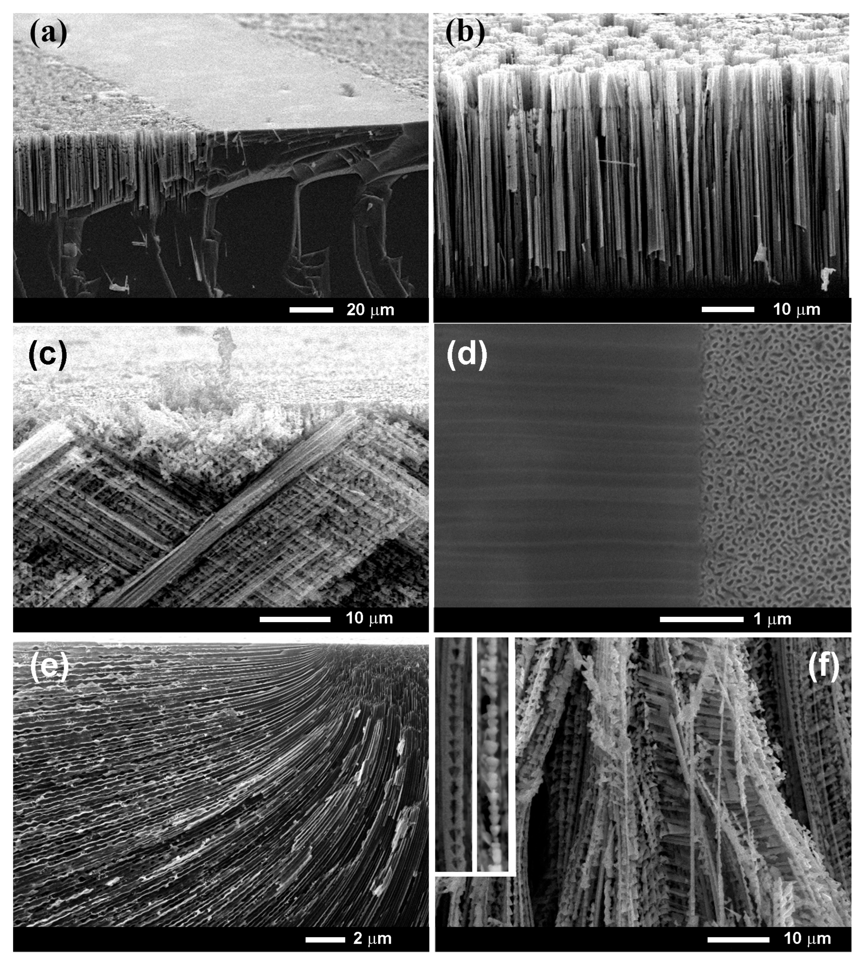 Jmmp 09 00376 g002 Jmmp 09 00376 g002