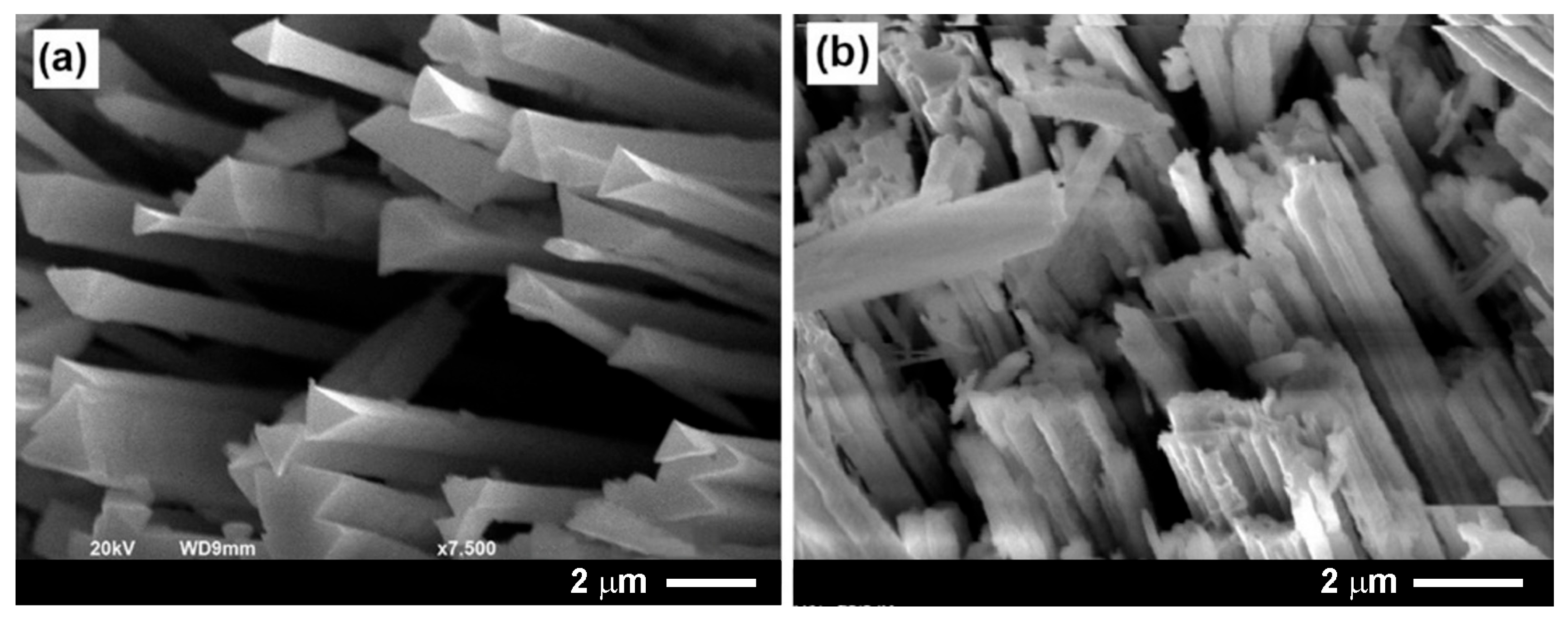 Jmmp 09 00376 g003 Jmmp 09 00376 g003