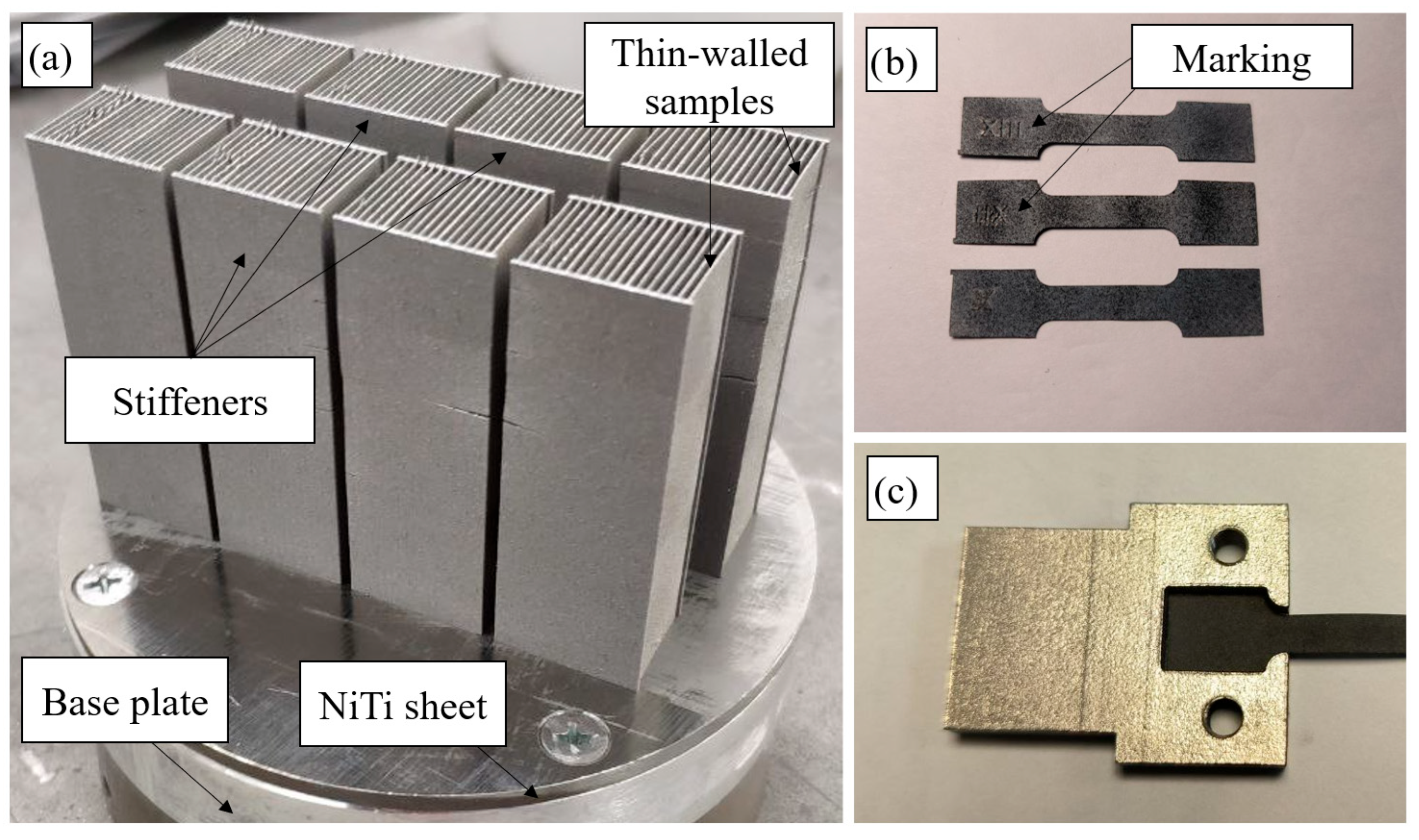 Jmmp 09 00385 g002 Jmmp 09 00385 g002