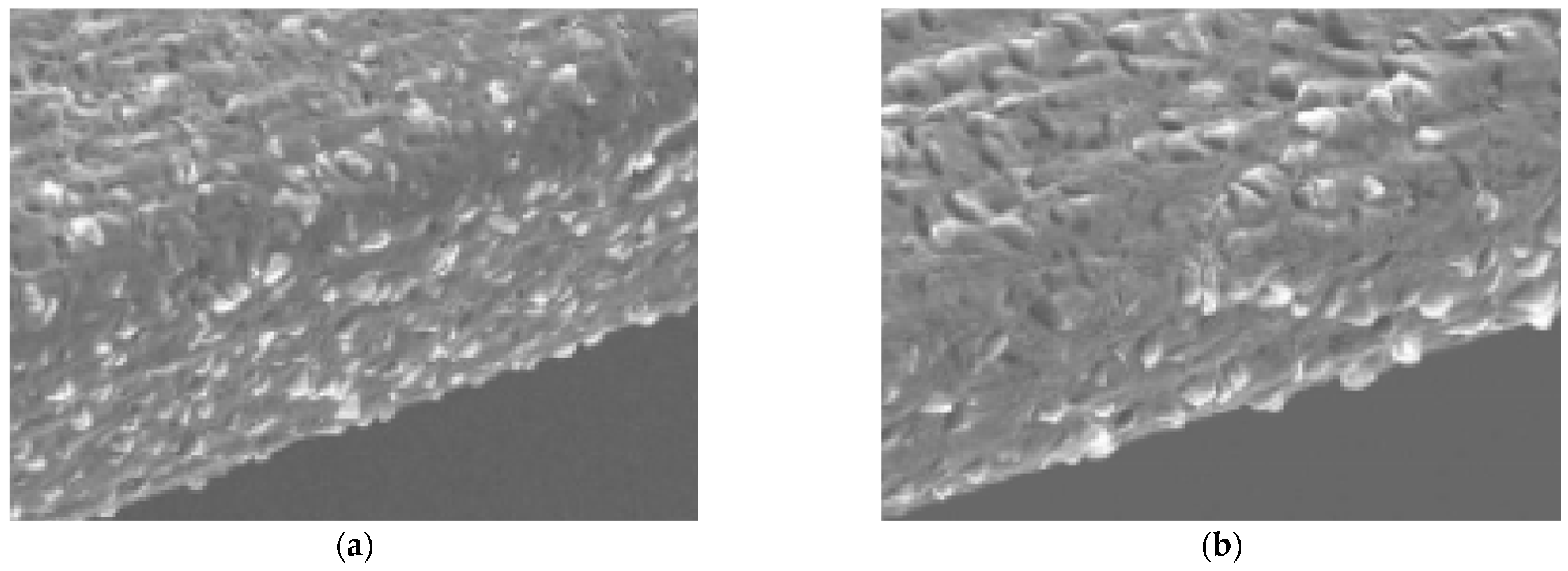 Jmmp 09 00405 g008 Jmmp 09 00405 g008