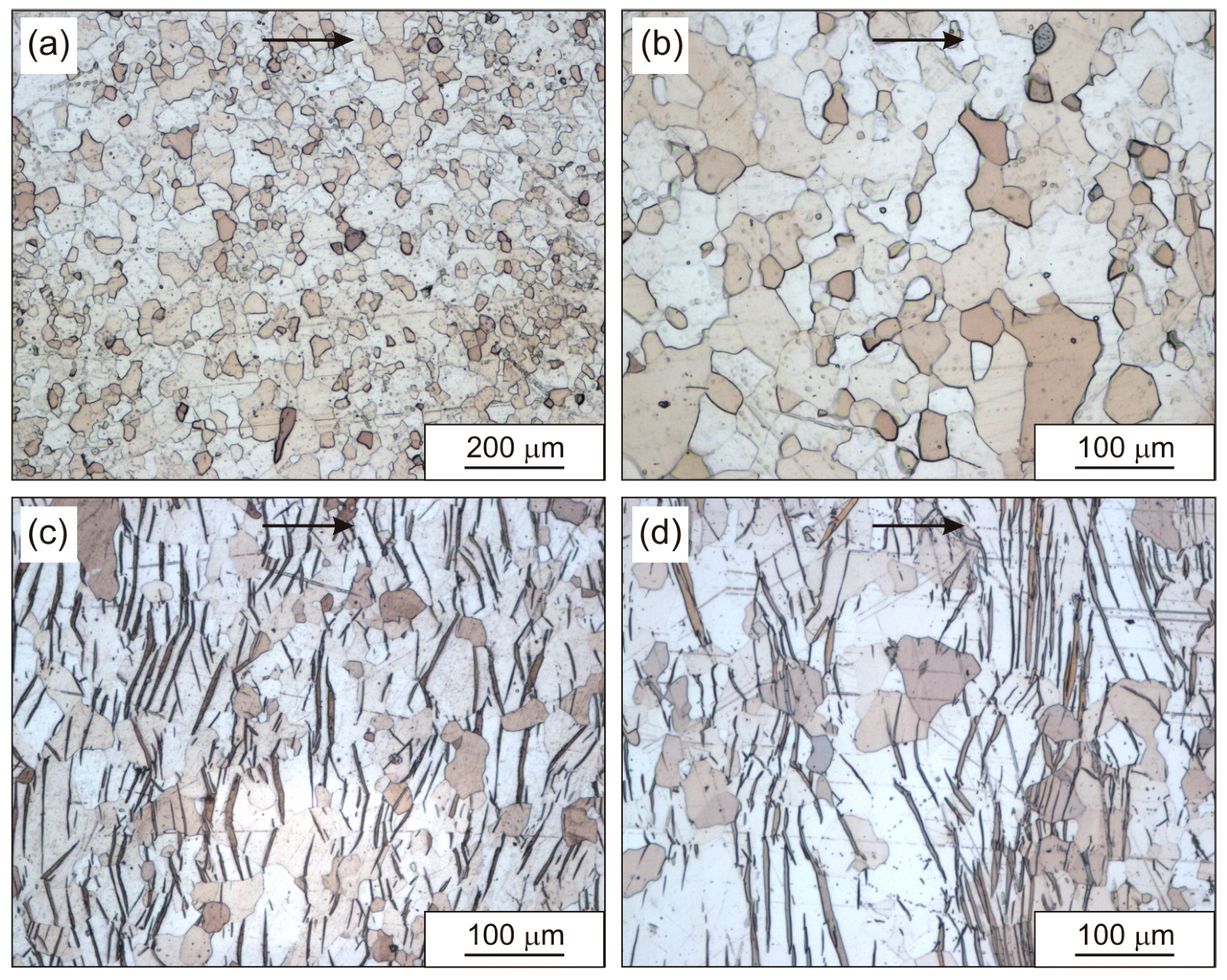 Jmmp 09 00413 g003 Jmmp 09 00413 g003