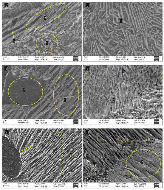 Physics-Guided and Sustainability-Oriented Design of Carburized