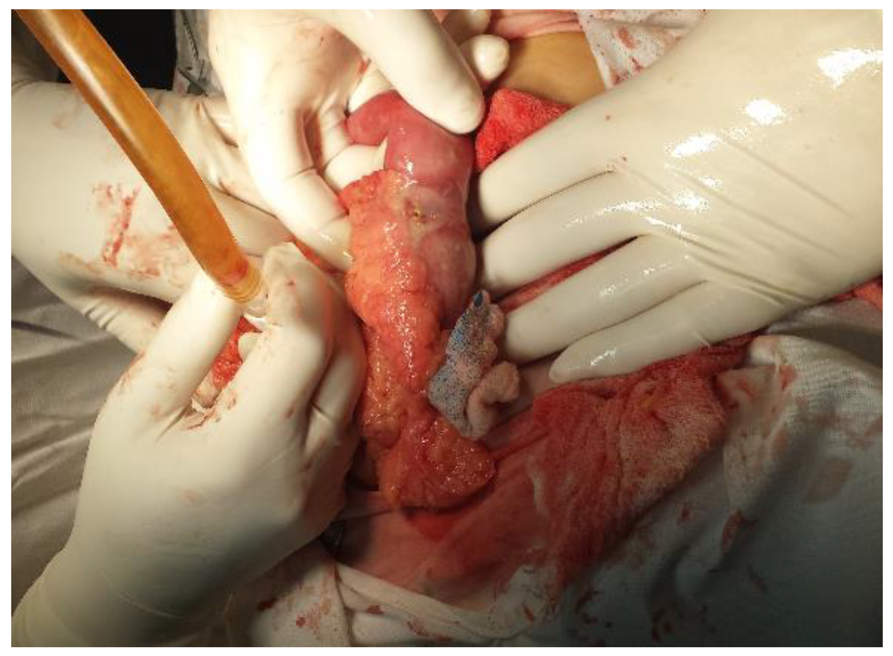 Jmms 03 00010 g001 Jmms 03 00010 g001