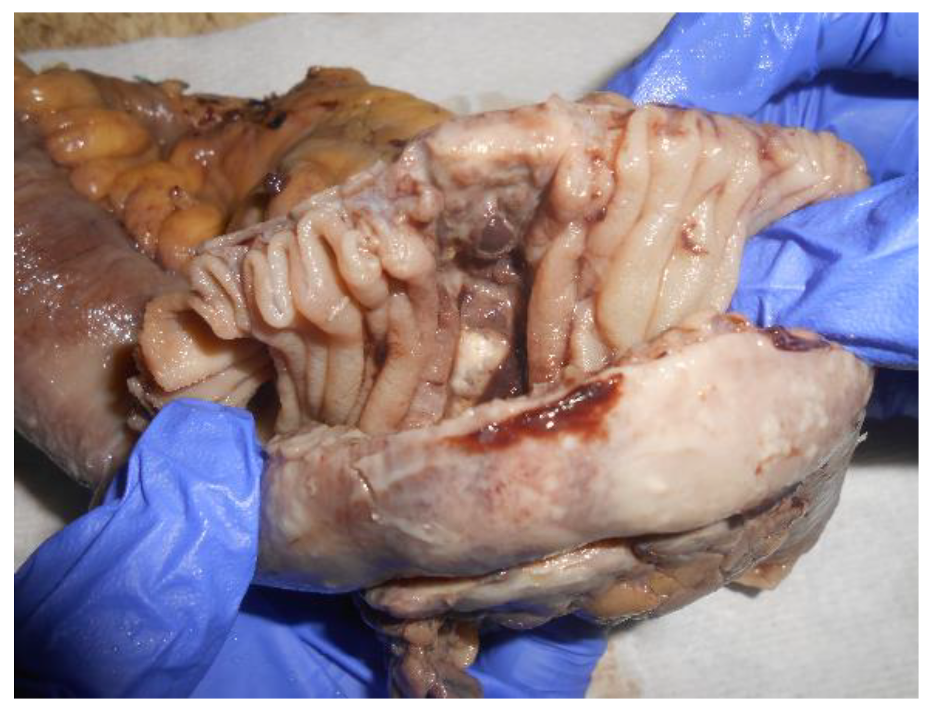 Jmms 03 00010 g002 Jmms 03 00010 g002