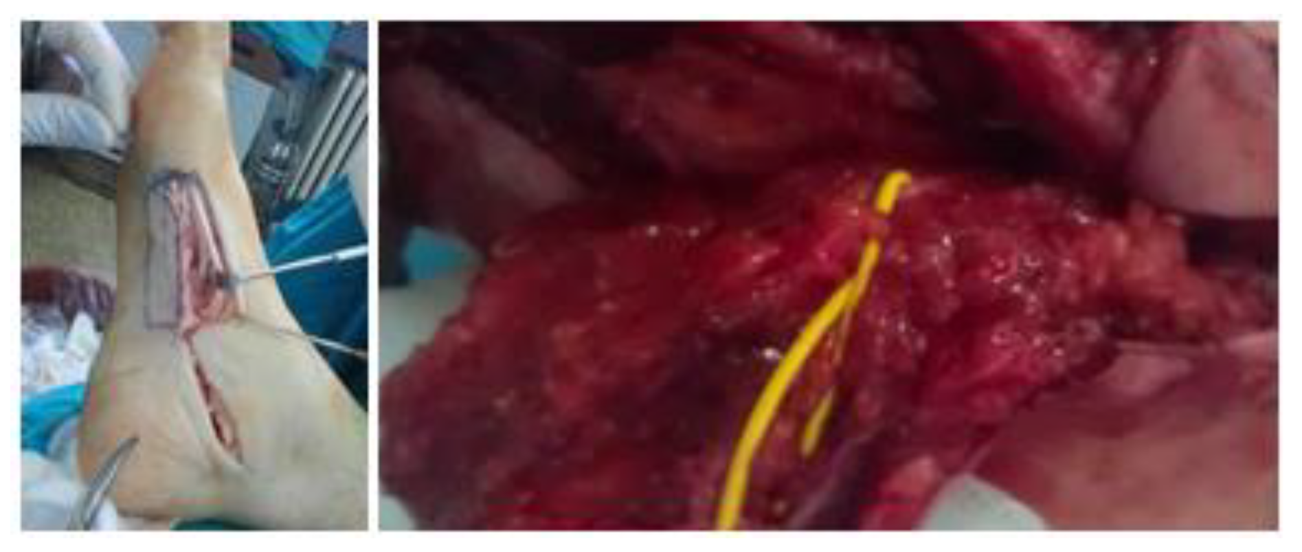 Jmms 05 00037 g001 Jmms 05 00037 g001