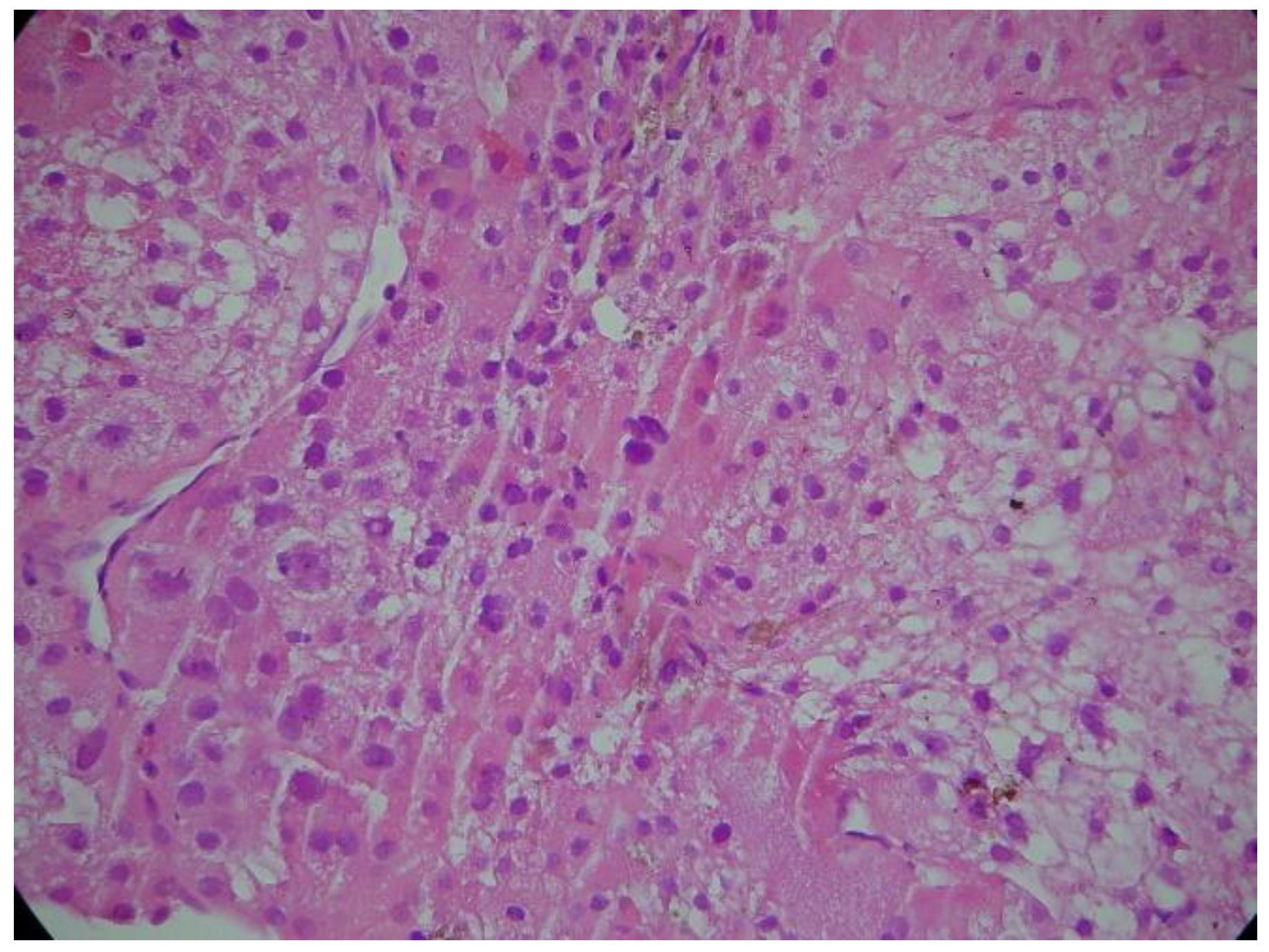 Jmms 05 00044 g004 Jmms 05 00044 g004