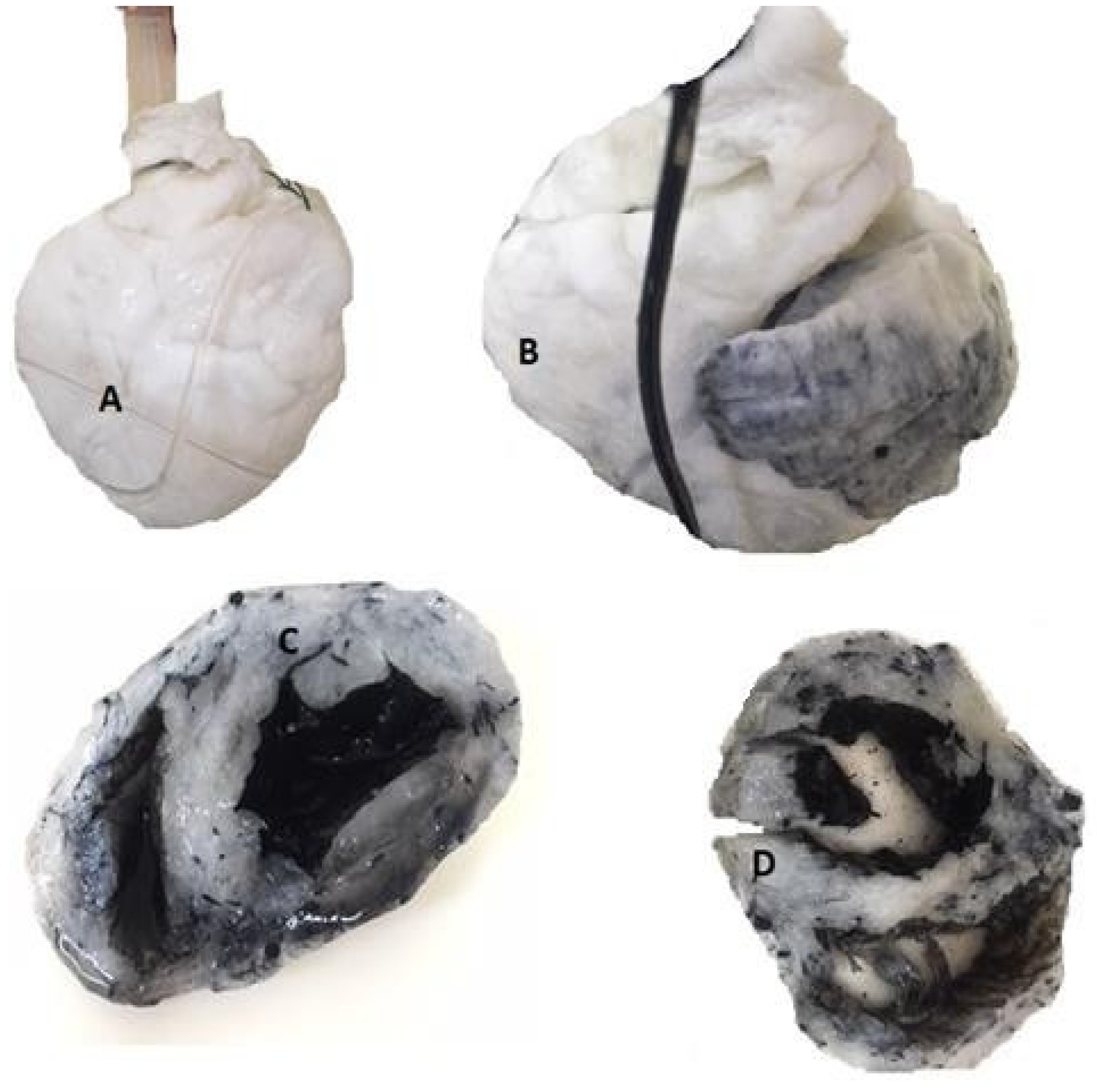 Jmms 06 00020 g002 Jmms 06 00020 g002