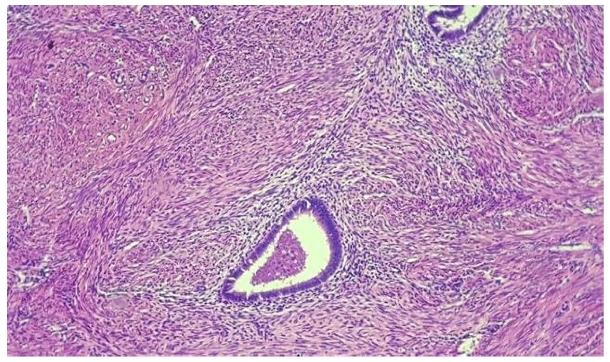 Jmms 06 00021 g006 Jmms 06 00021 g006