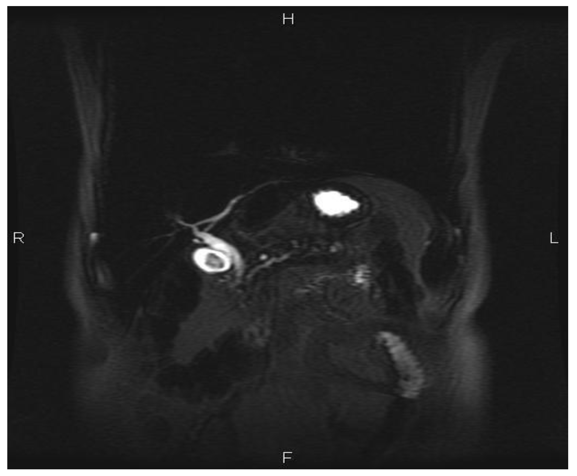 Jmms 06 00051 g002 Jmms 06 00051 g002
