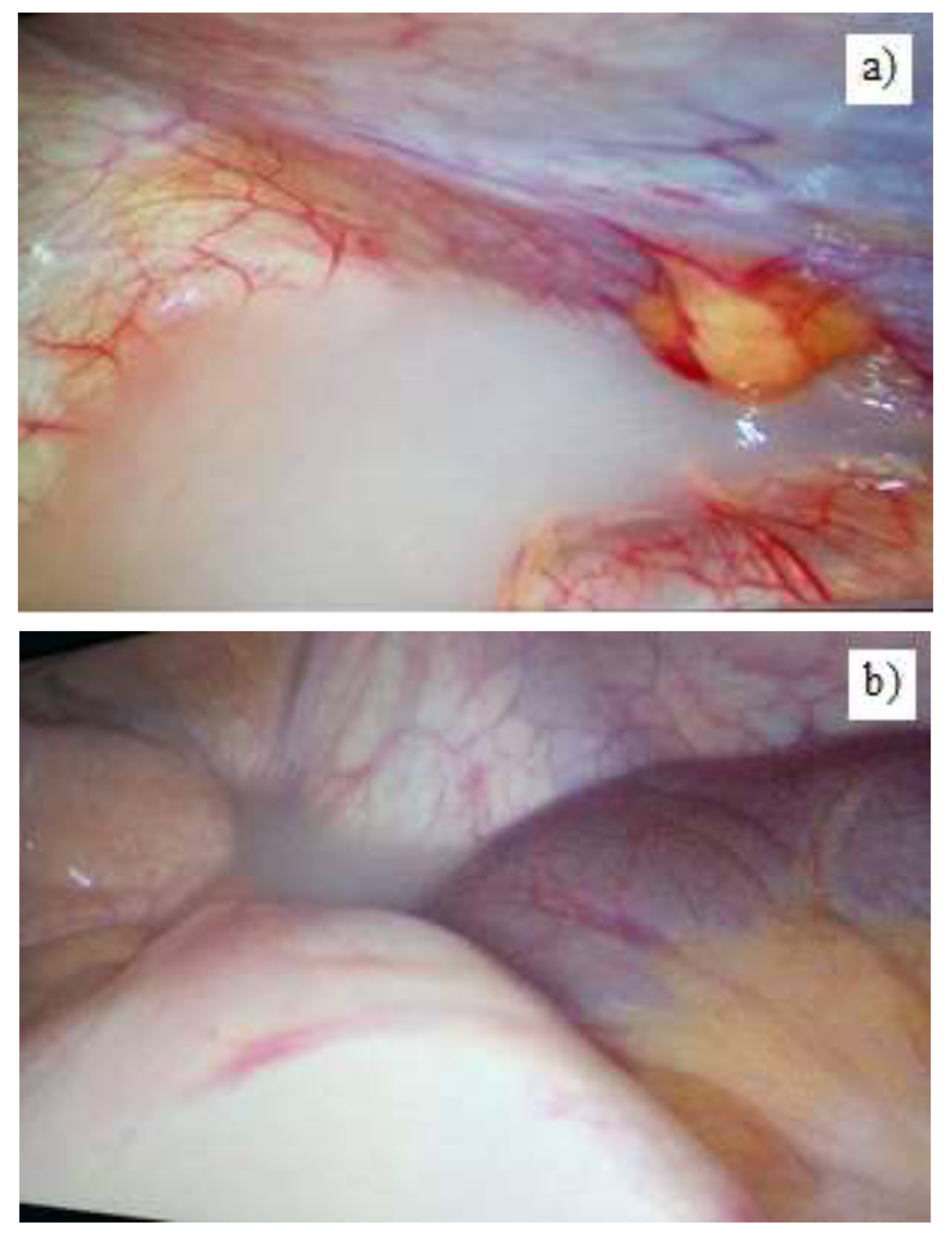 Jmms 08 00019 g001 Jmms 08 00019 g001