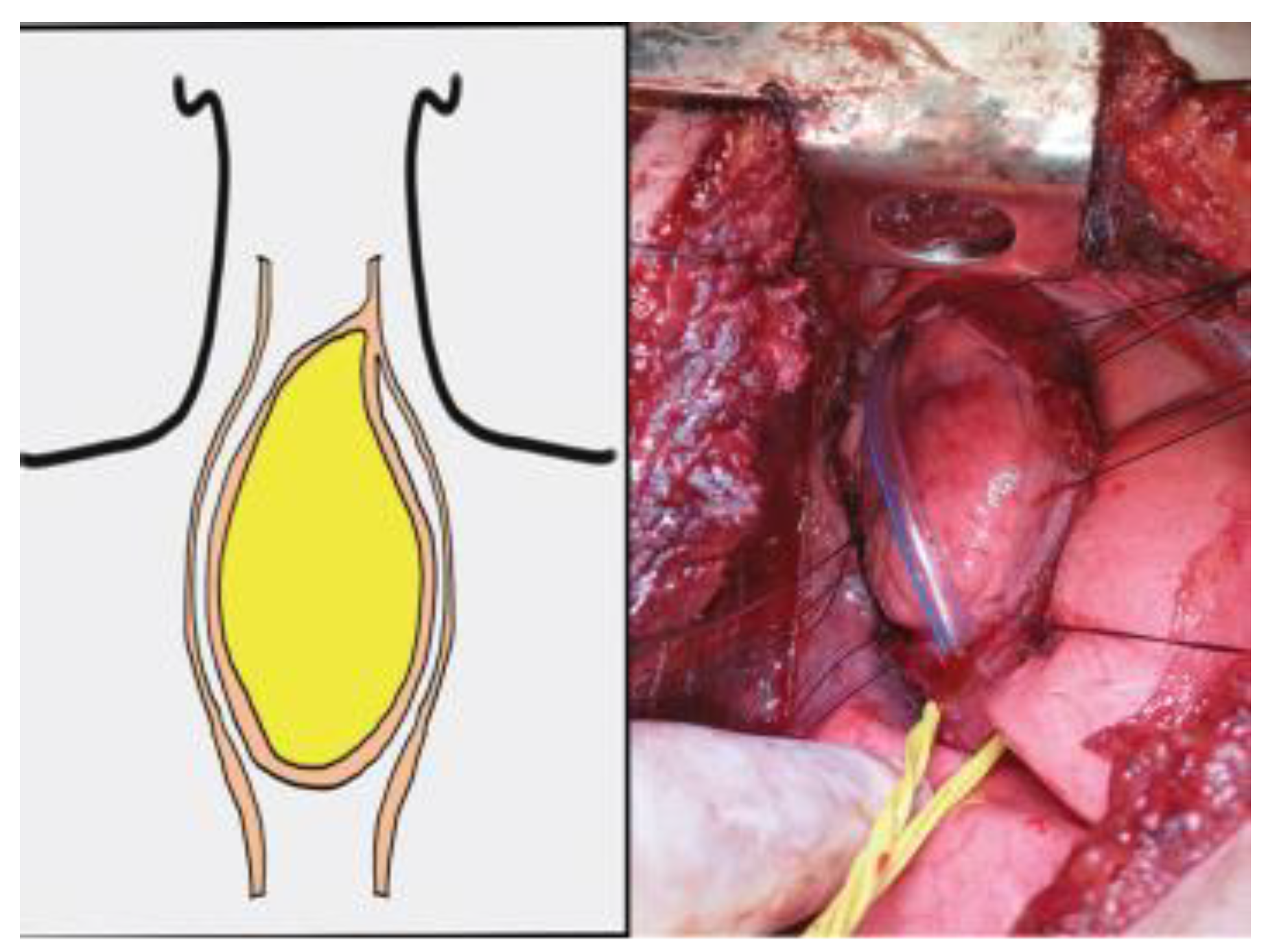 Jmms 08 00021 g005 Jmms 08 00021 g005