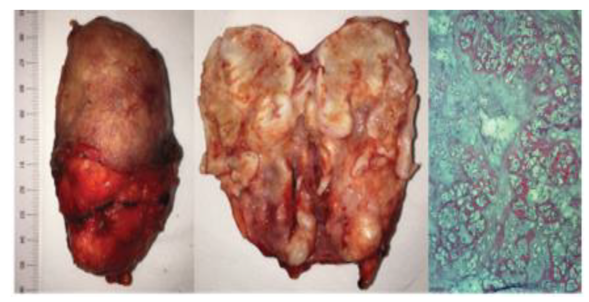 Jmms 08 00021 g006 Jmms 08 00021 g006