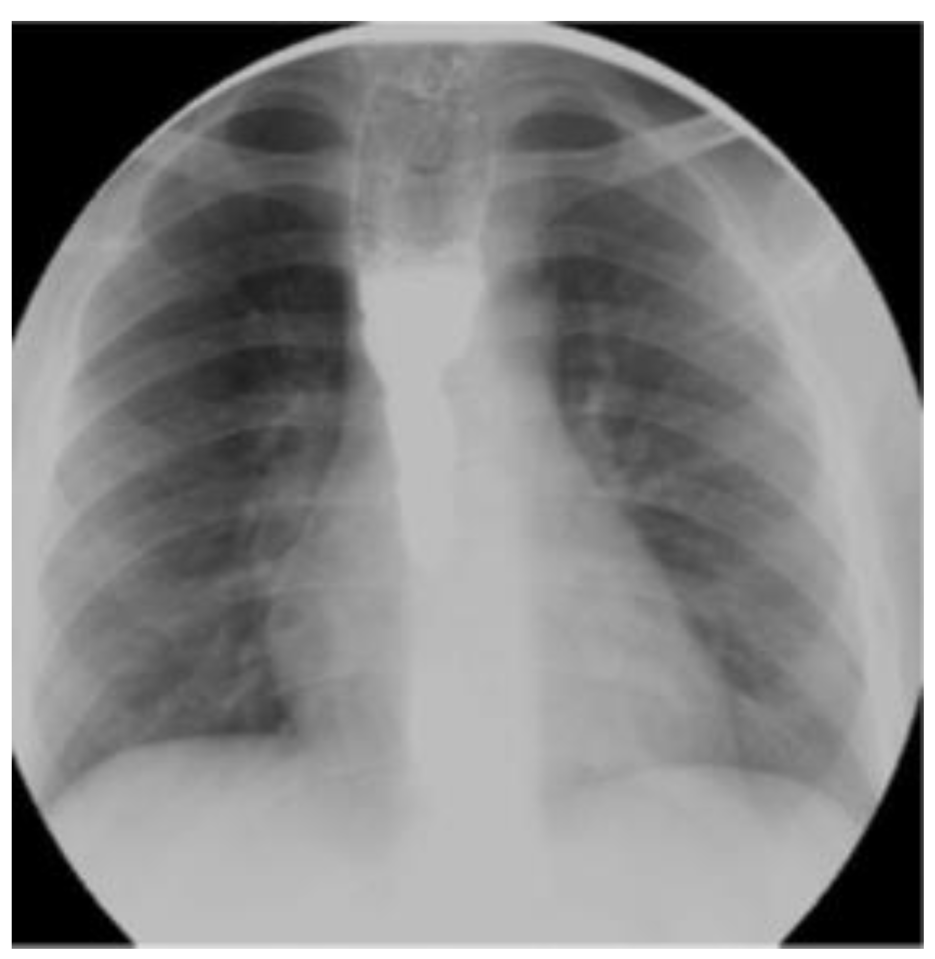 Jmms 08 00021 g007 Jmms 08 00021 g007