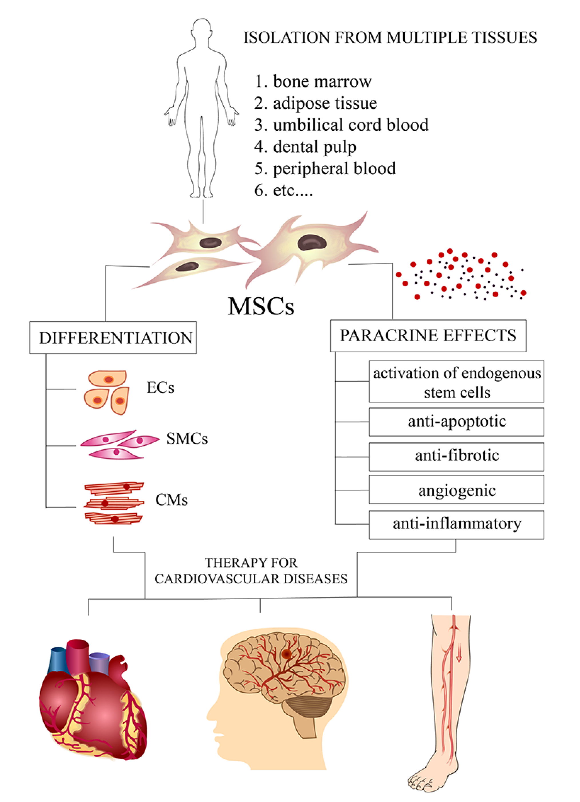 Jmms 08 00023 g001 Jmms 08 00023 g001