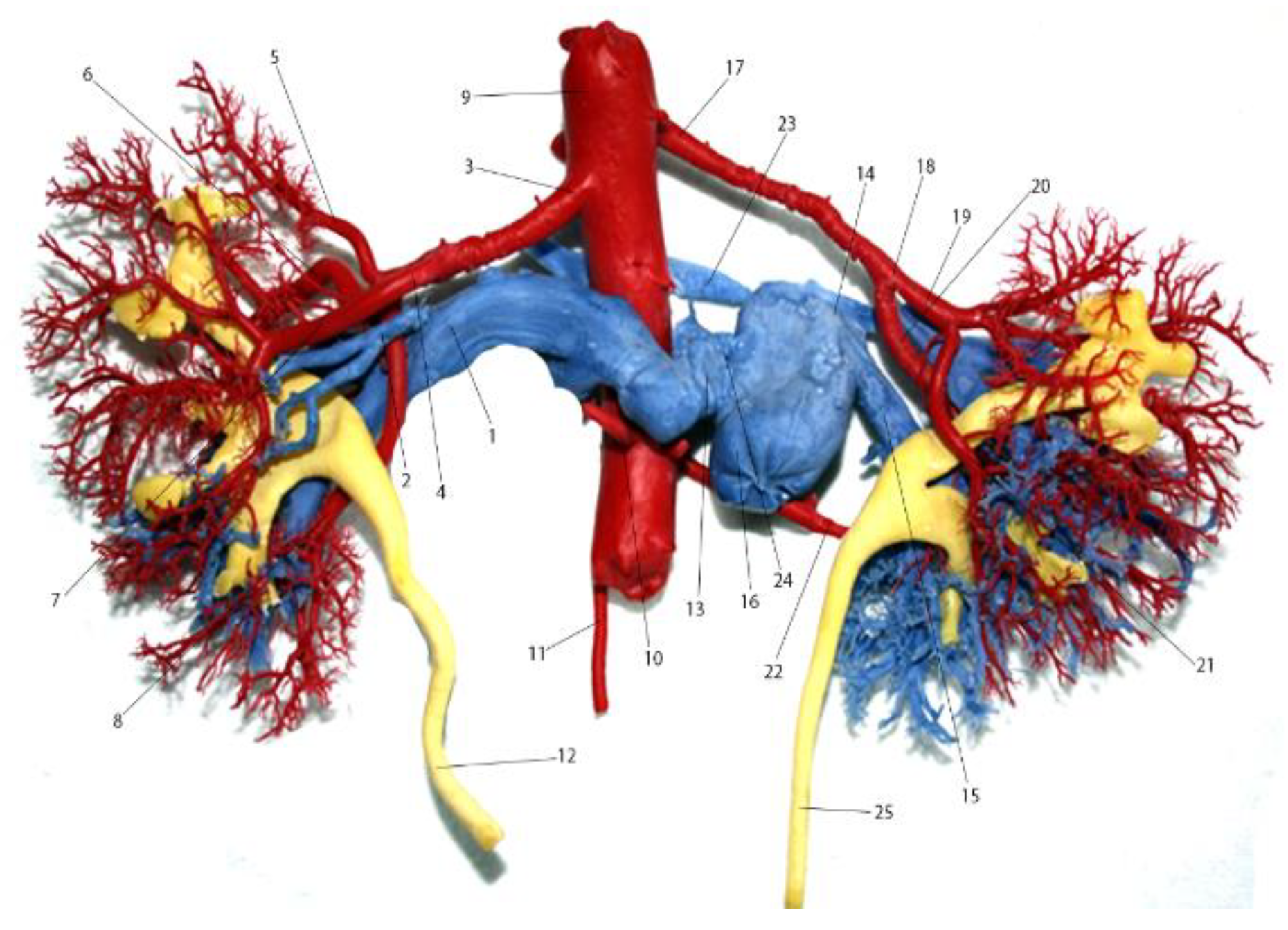 Jmms 08 00041 g002 Jmms 08 00041 g002