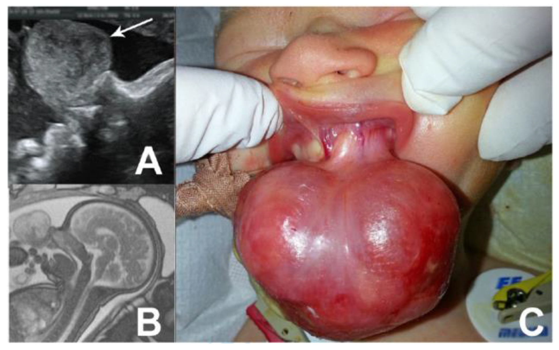 Jmms 08 00045 g002 Jmms 08 00045 g002