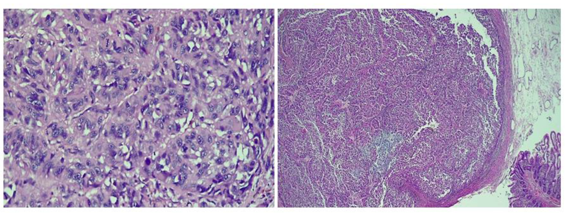 Jmms 09 00020 g005 Jmms 09 00020 g005