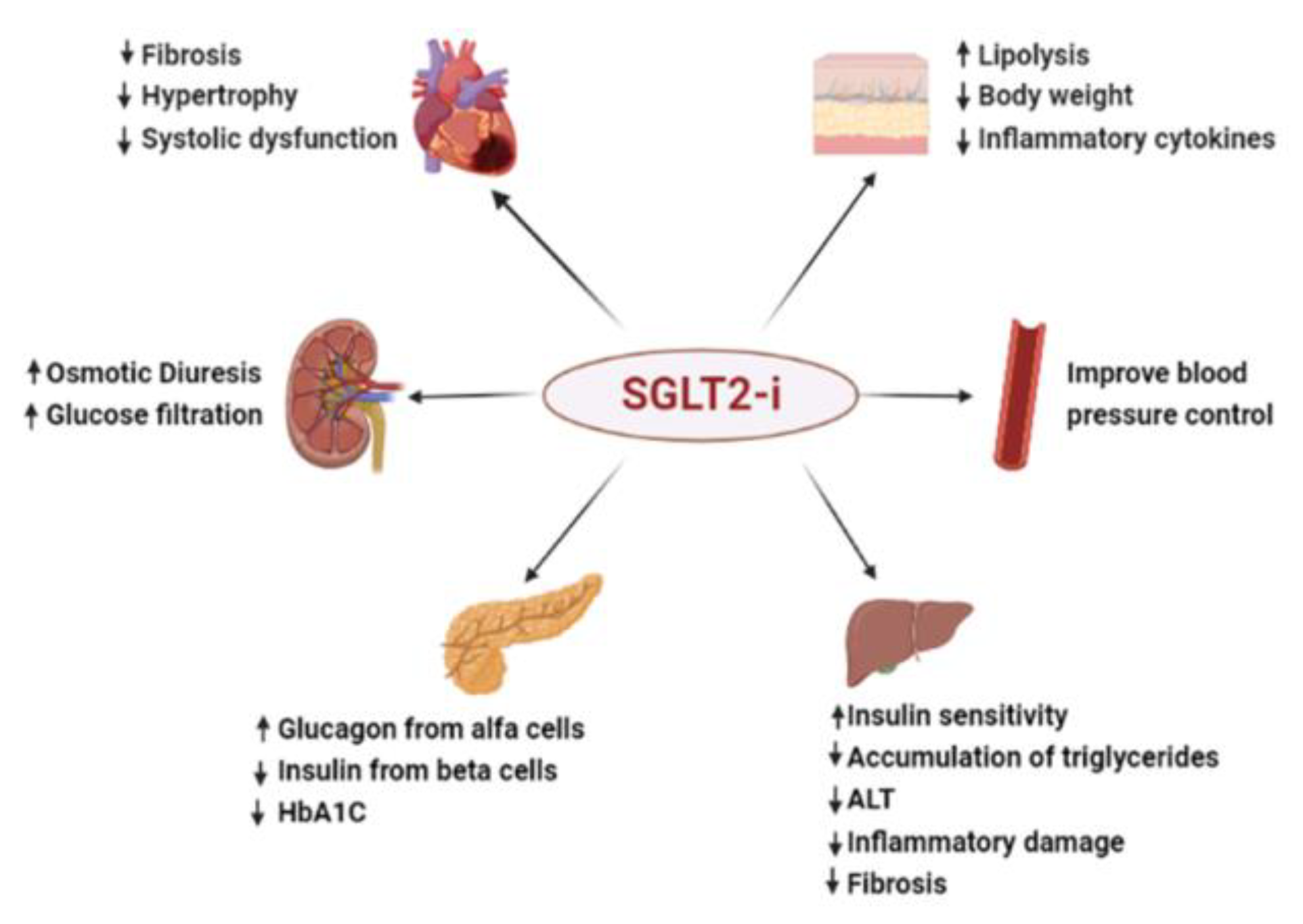 Jmms 11 00009 g003 Jmms 11 00009 g003