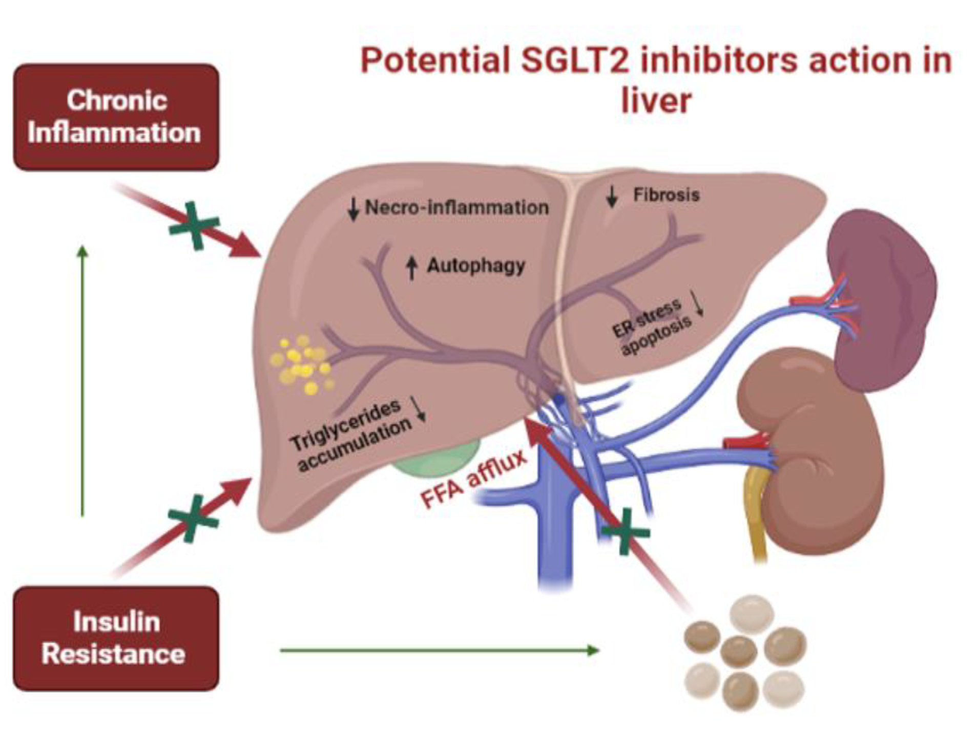 Jmms 11 00009 g005 Jmms 11 00009 g005