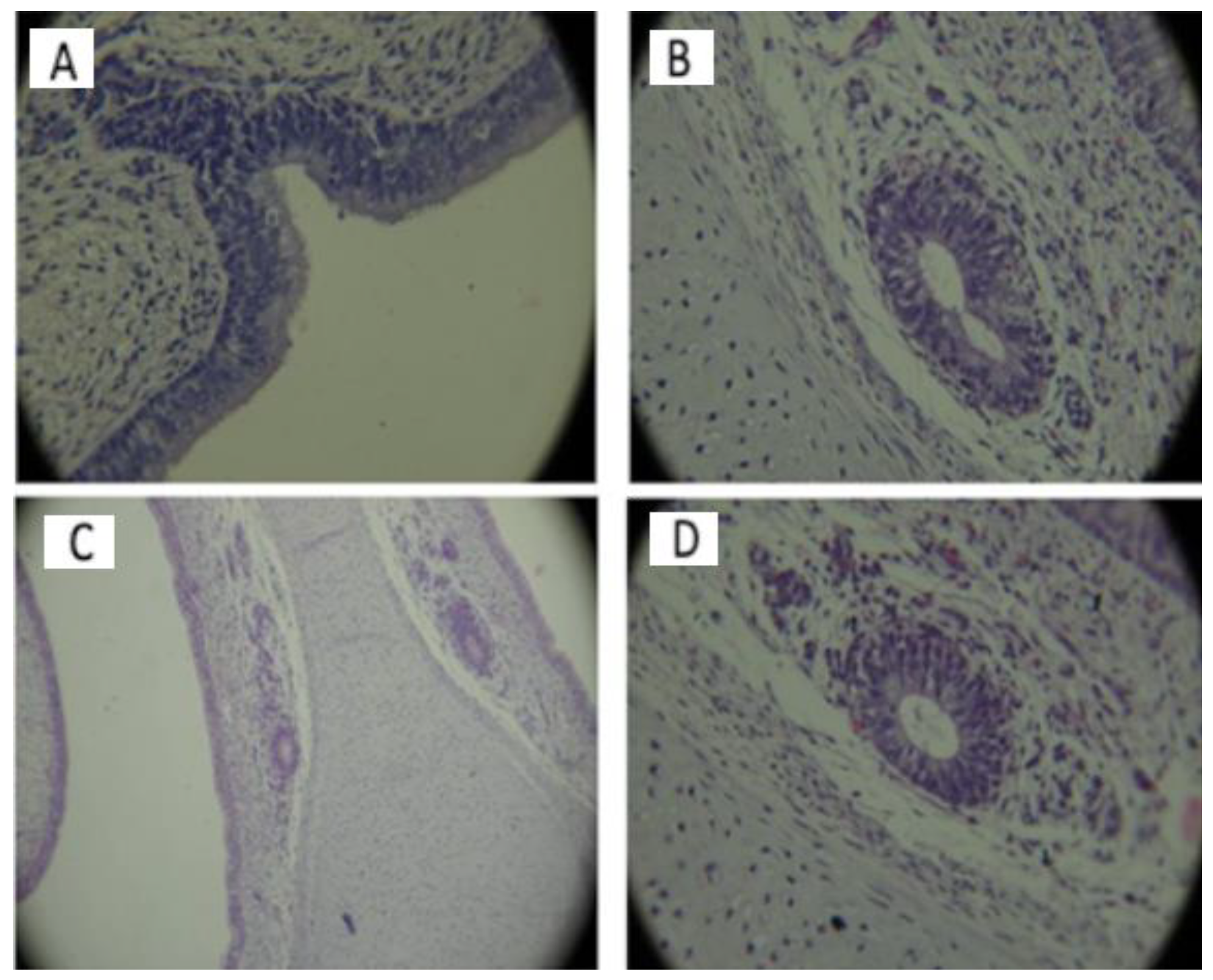Jmms 11 00016 g003 Jmms 11 00016 g003