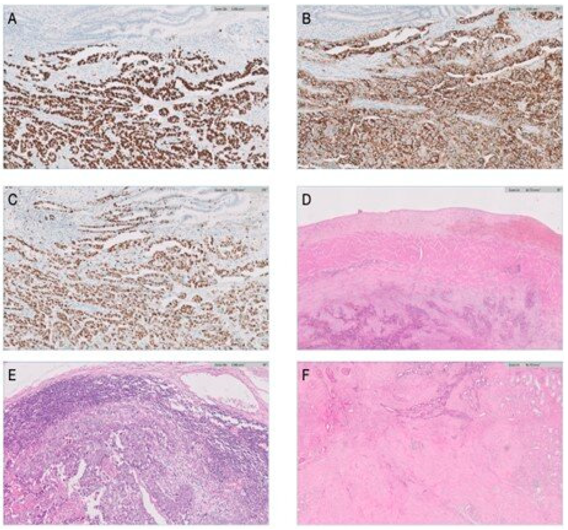 Jmms 12 00030 g002 Jmms 12 00030 g002