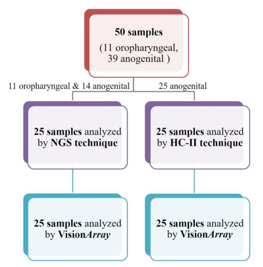Hpv dna high risk hybrid capture Hpv high risk hybrid capture