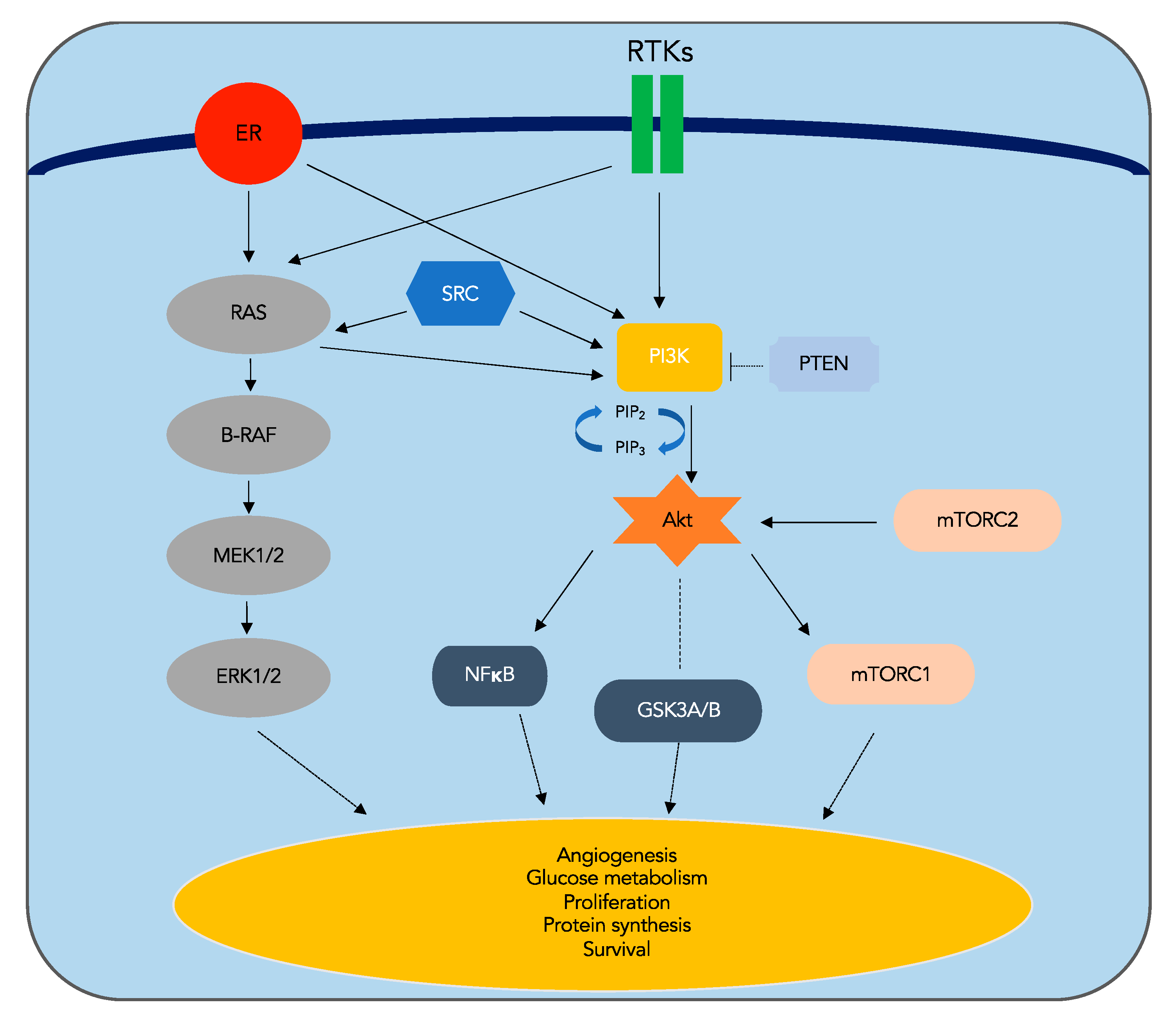 Jmp 02 00005 g001 Jmp 02 00005 g001