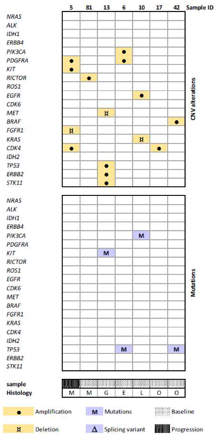 Jmp 02 00013 g005