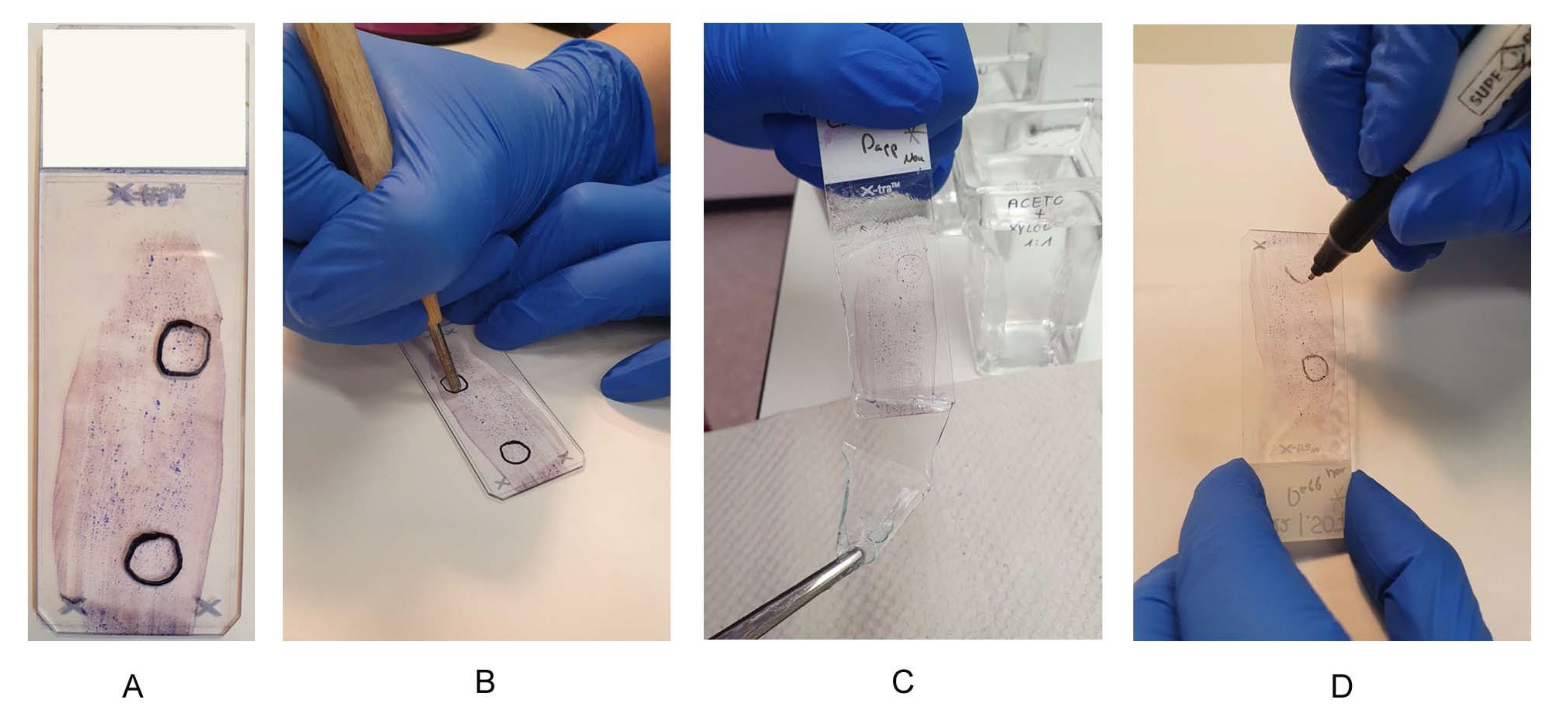 Jmp 03 00008 g002 550