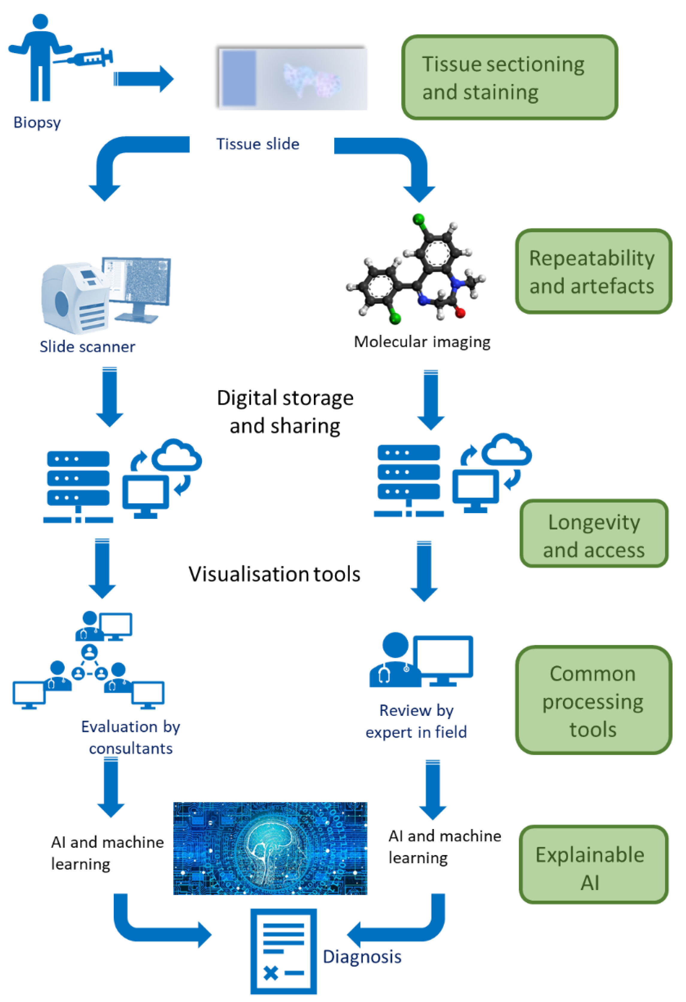 Edinburgh Molecular Imaging