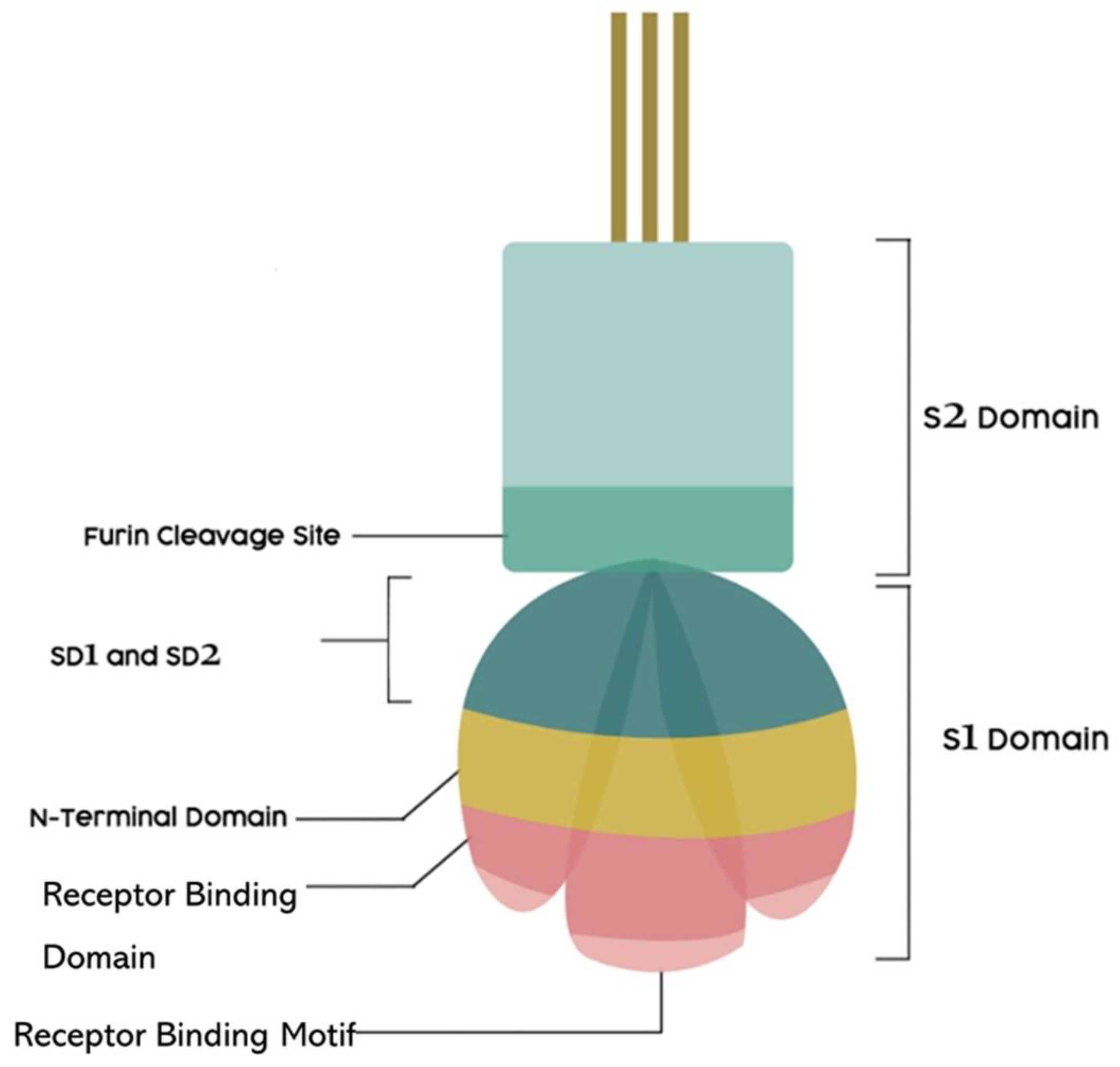 Jmp 03 00018 g001 Jmp 03 00018 g001