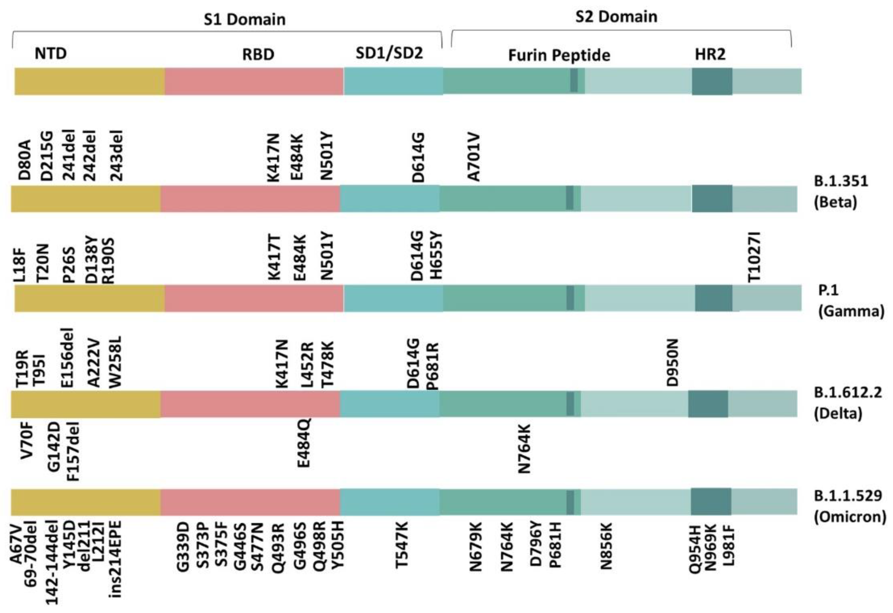 Jmp 03 00018 g002 Jmp 03 00018 g002