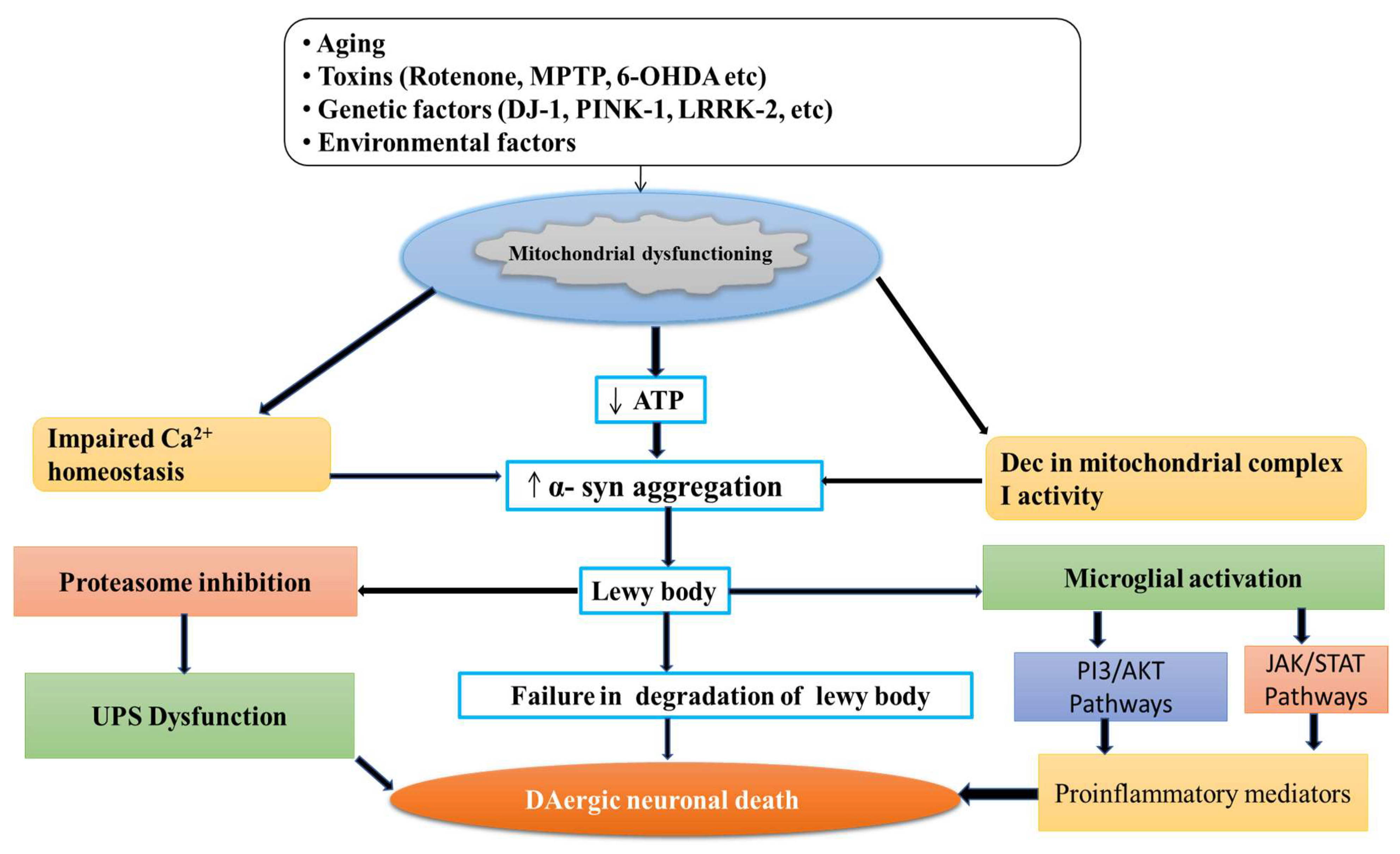Jmp 03 00021 g002 Jmp 03 00021 g002