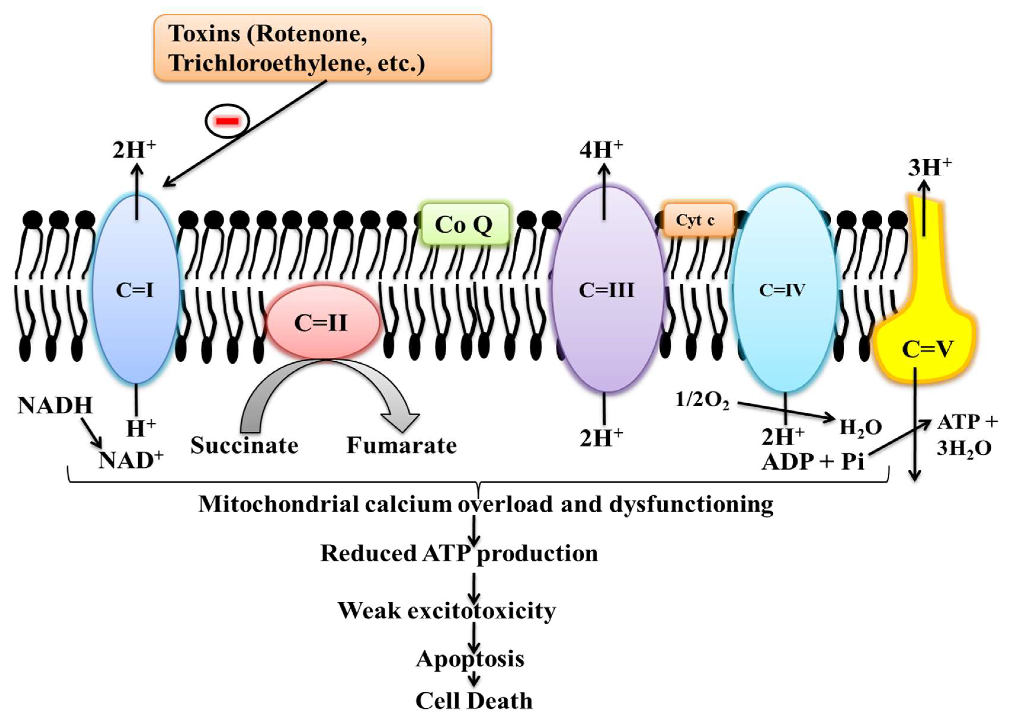 Jmp 03 00021 g003 Jmp 03 00021 g003