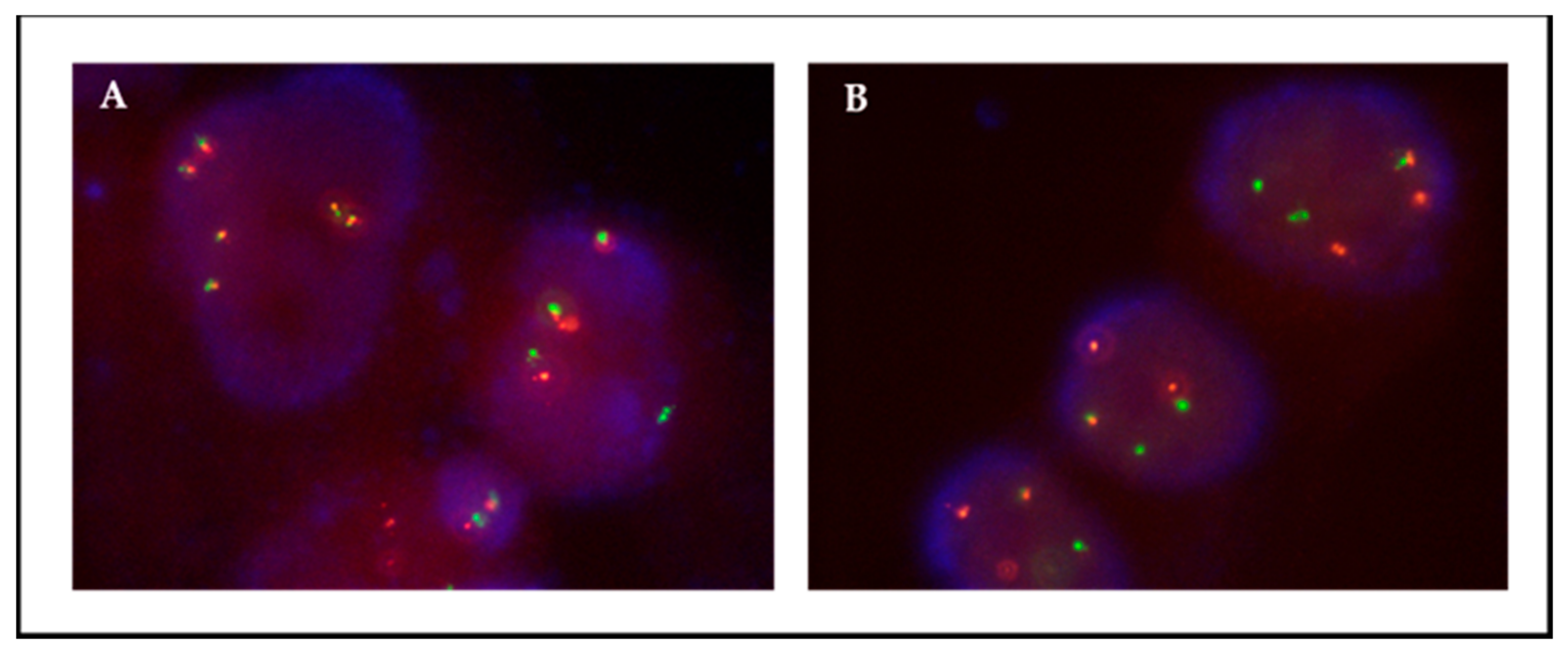 JMP Free FullText Fluorescence In Situ Hybridization (FISH) for