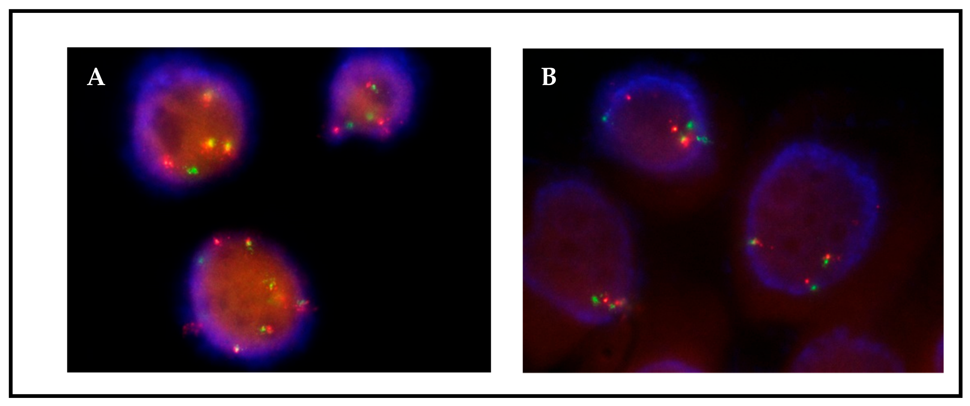 Jmp 04 00007 g003 Jmp 04 00007 g003