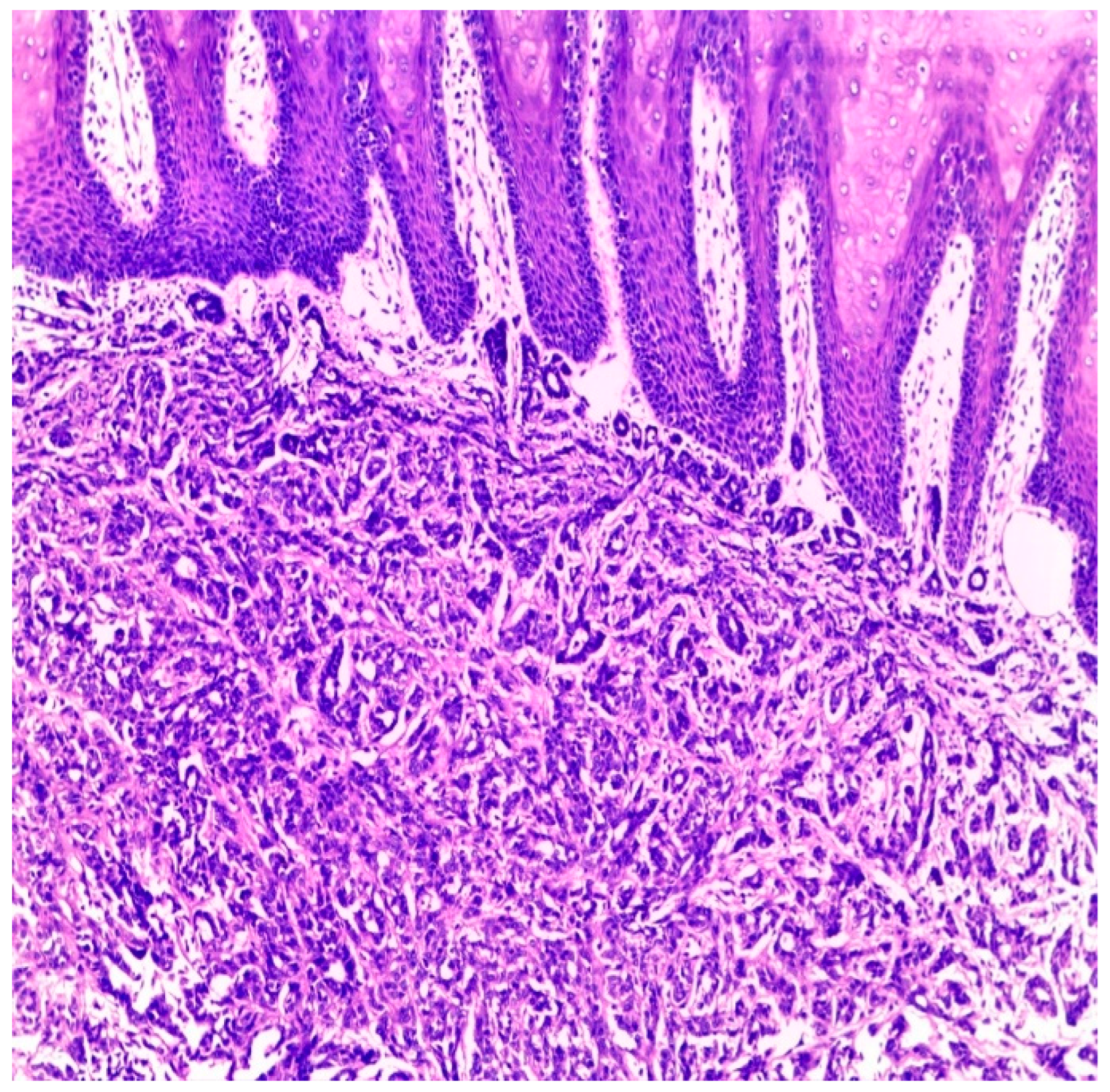 Jmp 04 00010 g002 Jmp 04 00010 g002