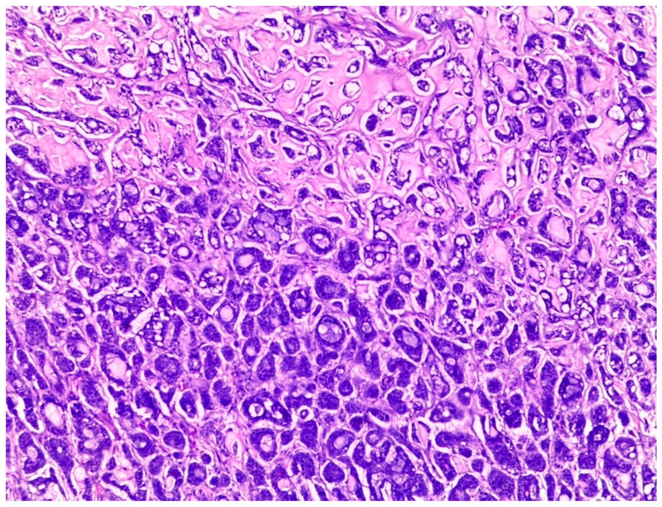 Jmp 04 00010 g003 Jmp 04 00010 g003