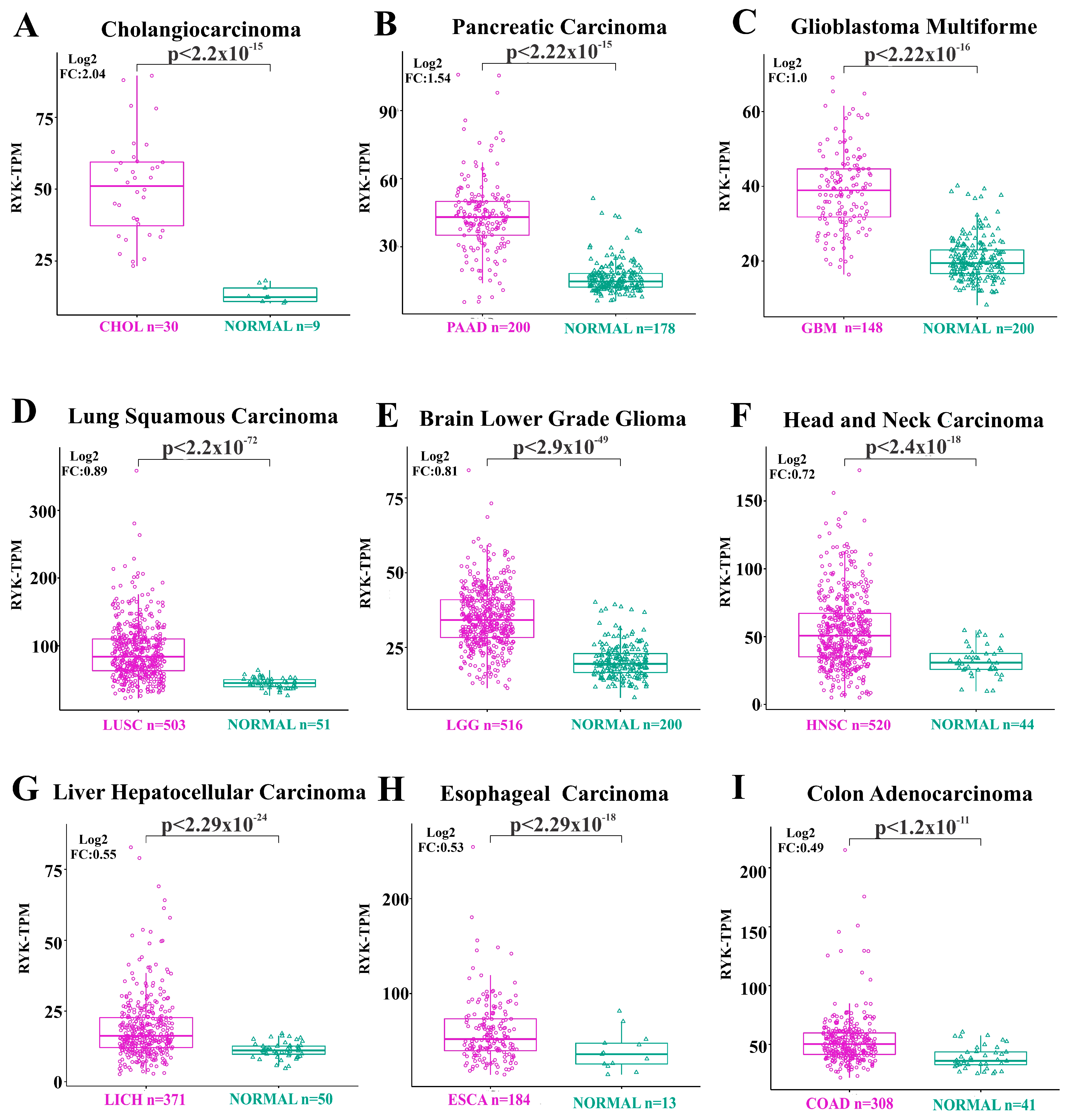Jmp 05 00005 g001 Jmp 05 00005 g001