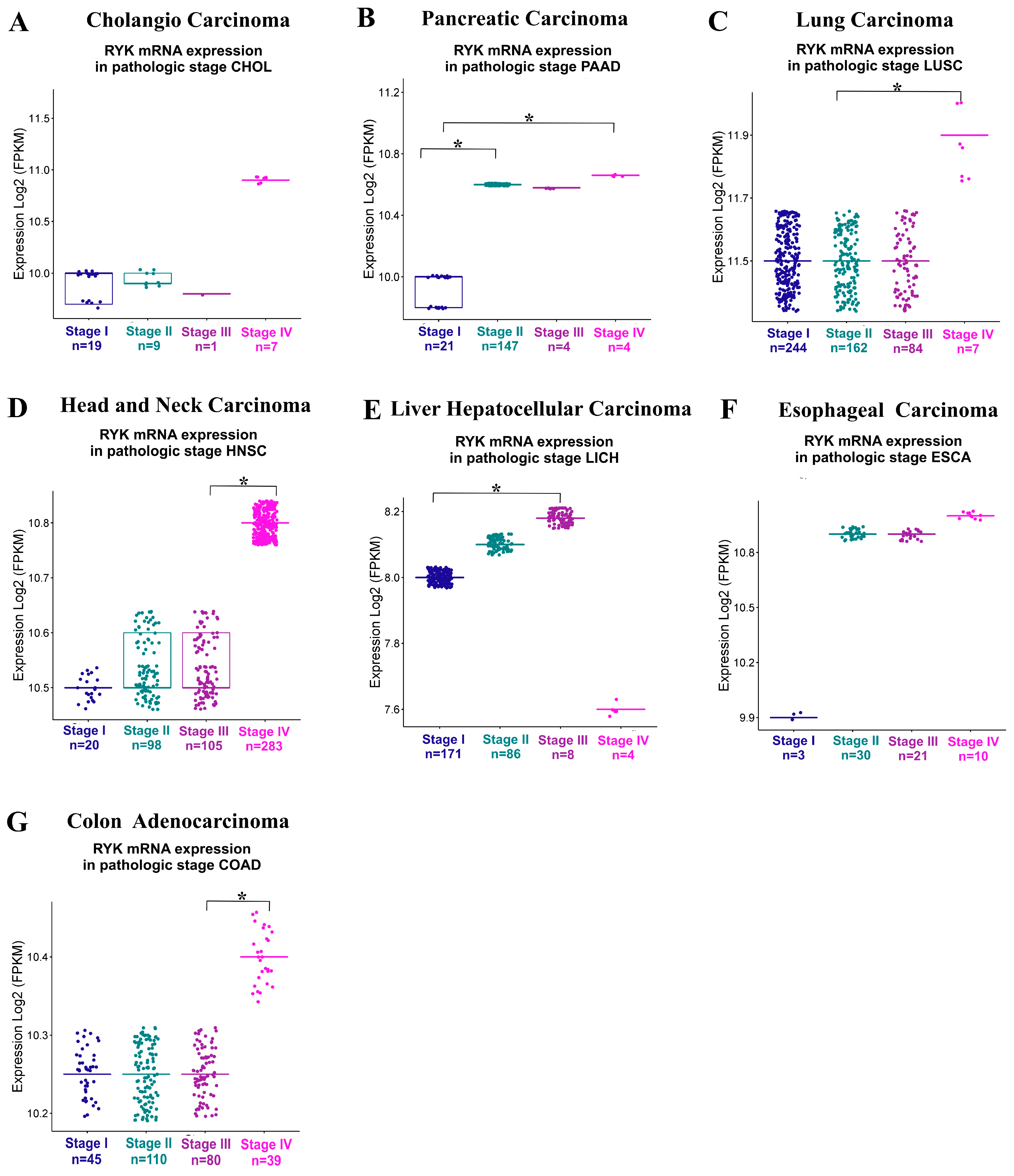 Jmp 05 00005 g002 Jmp 05 00005 g002