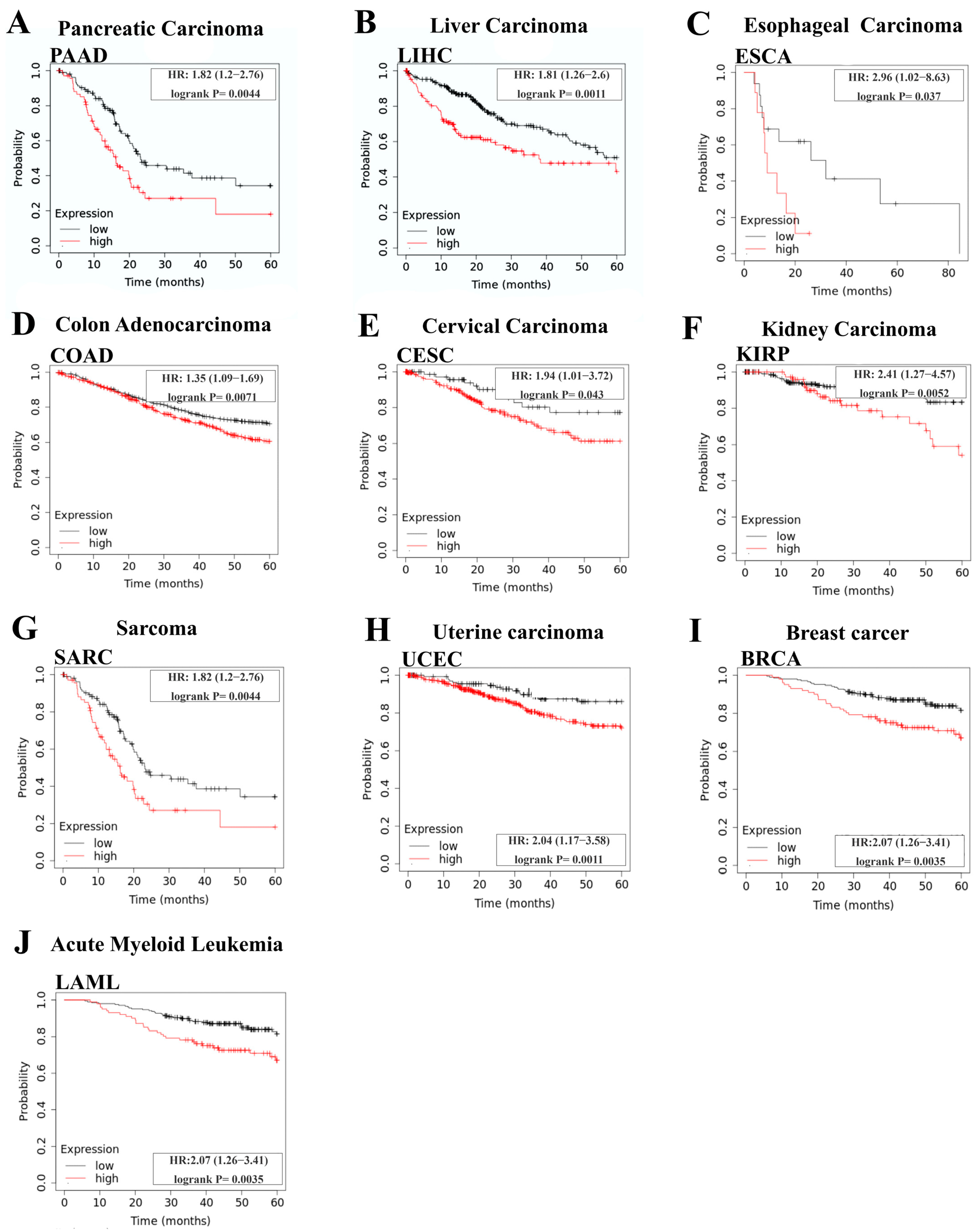 Jmp 05 00005 g004 Jmp 05 00005 g004