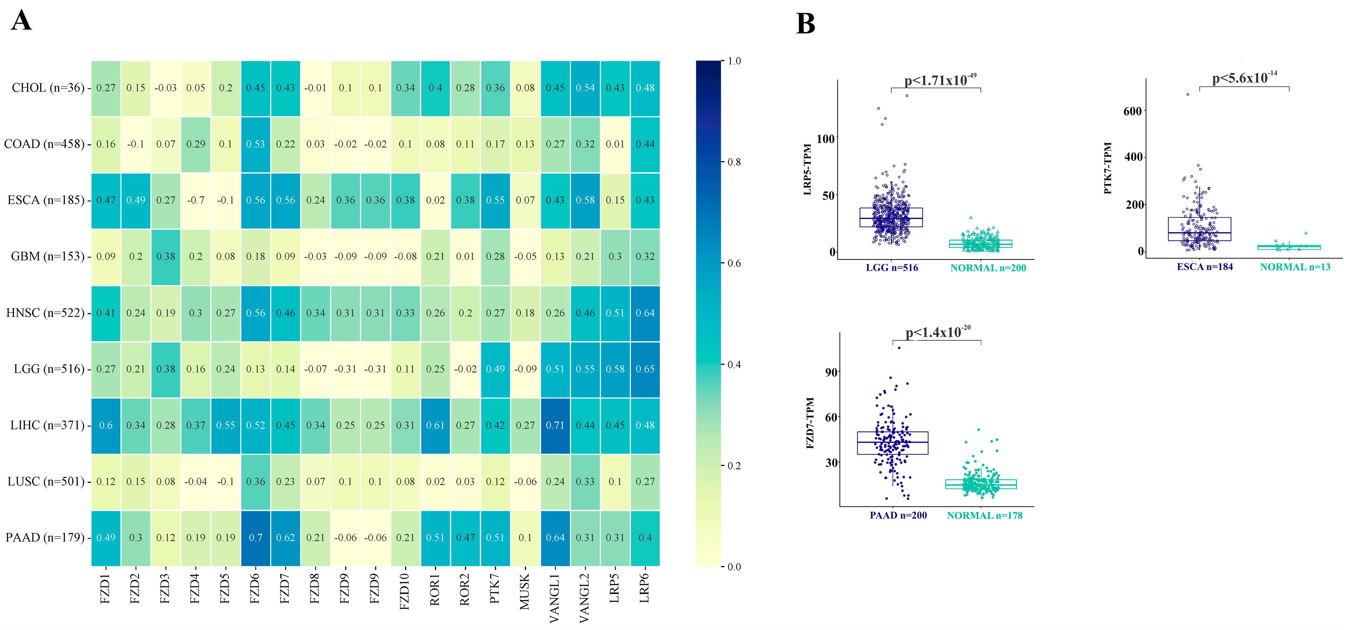 Jmp 05 00005 g005 Jmp 05 00005 g005